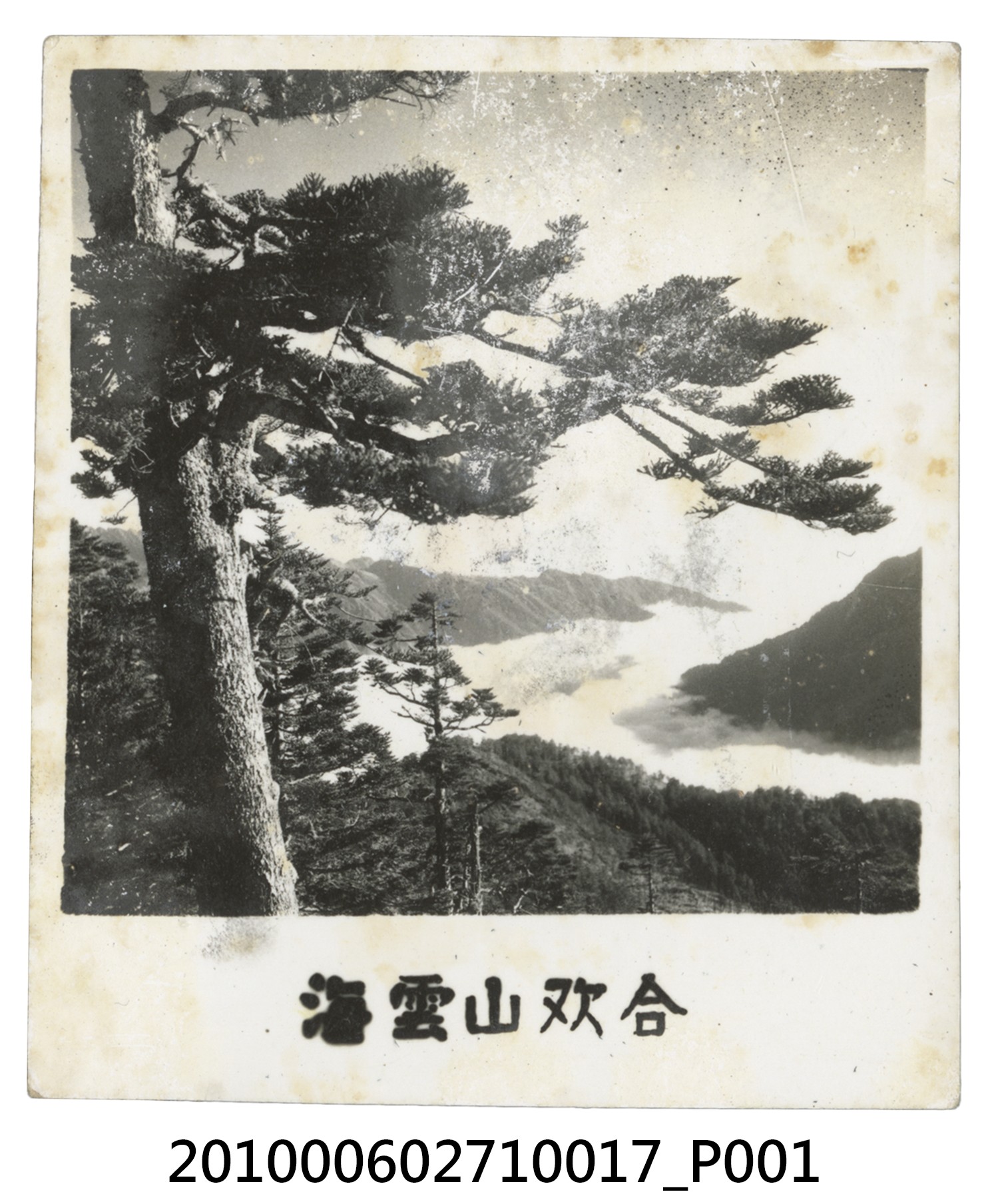 合歡山雲海 (共2張)