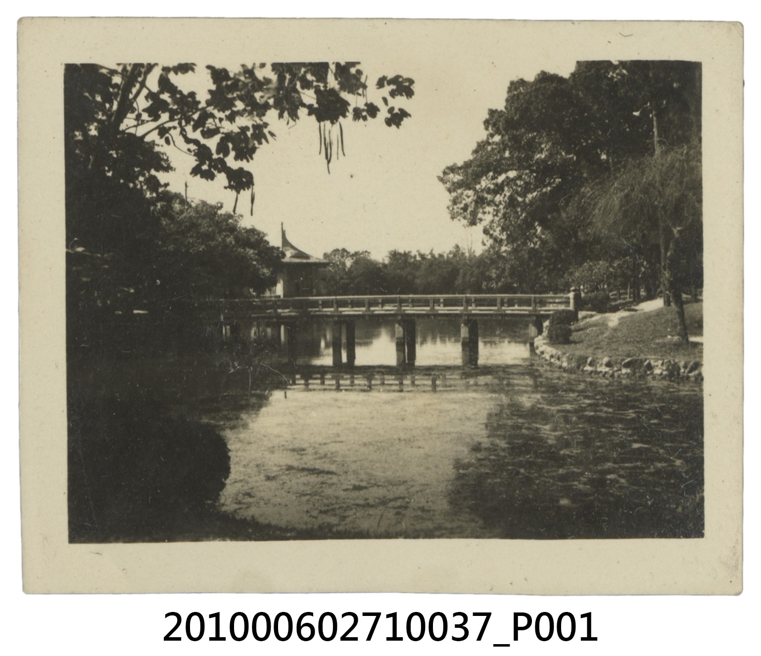 臺中公園一隅 (共2張)