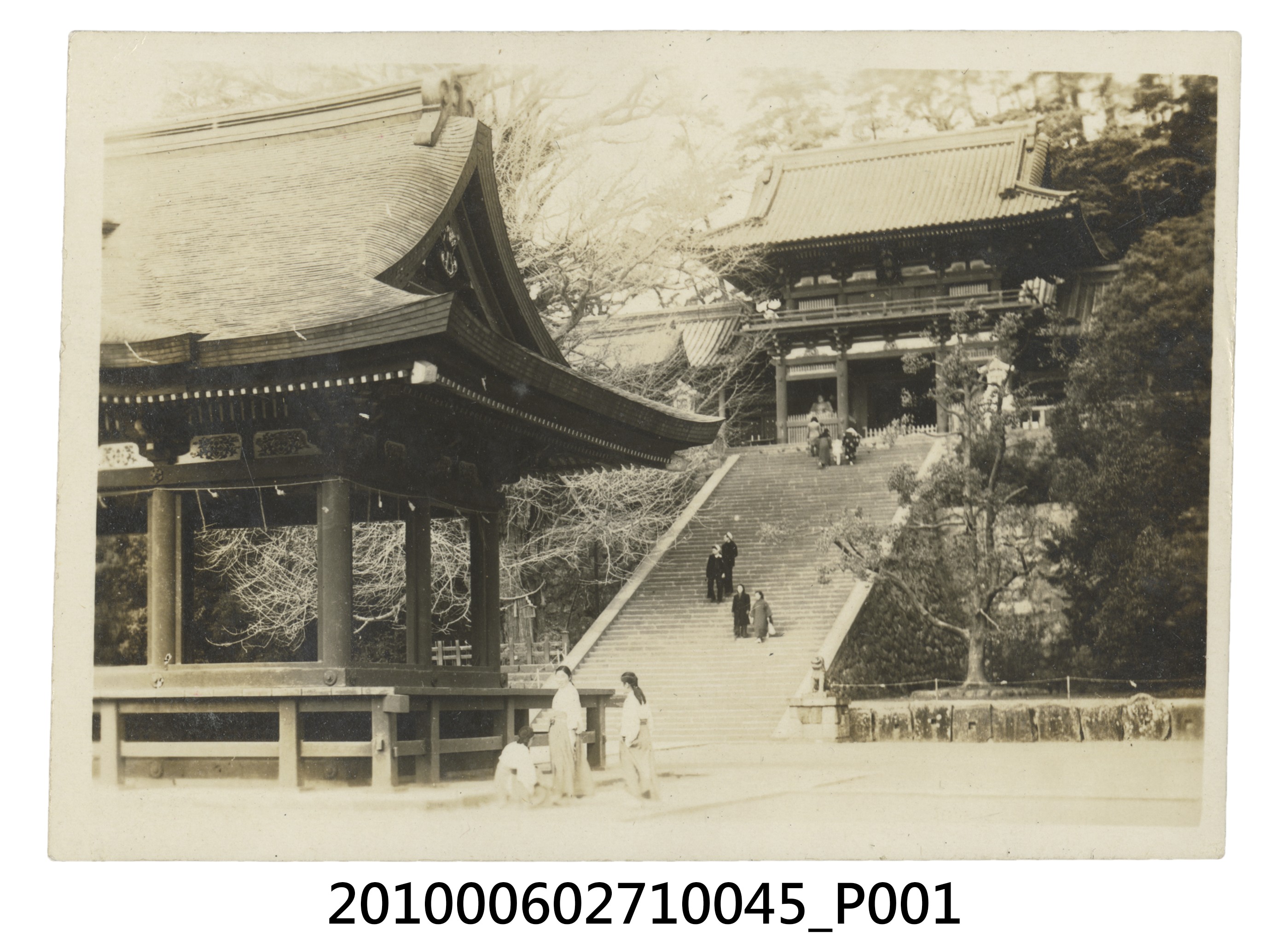 鶴岡八幡宮 (共2張)