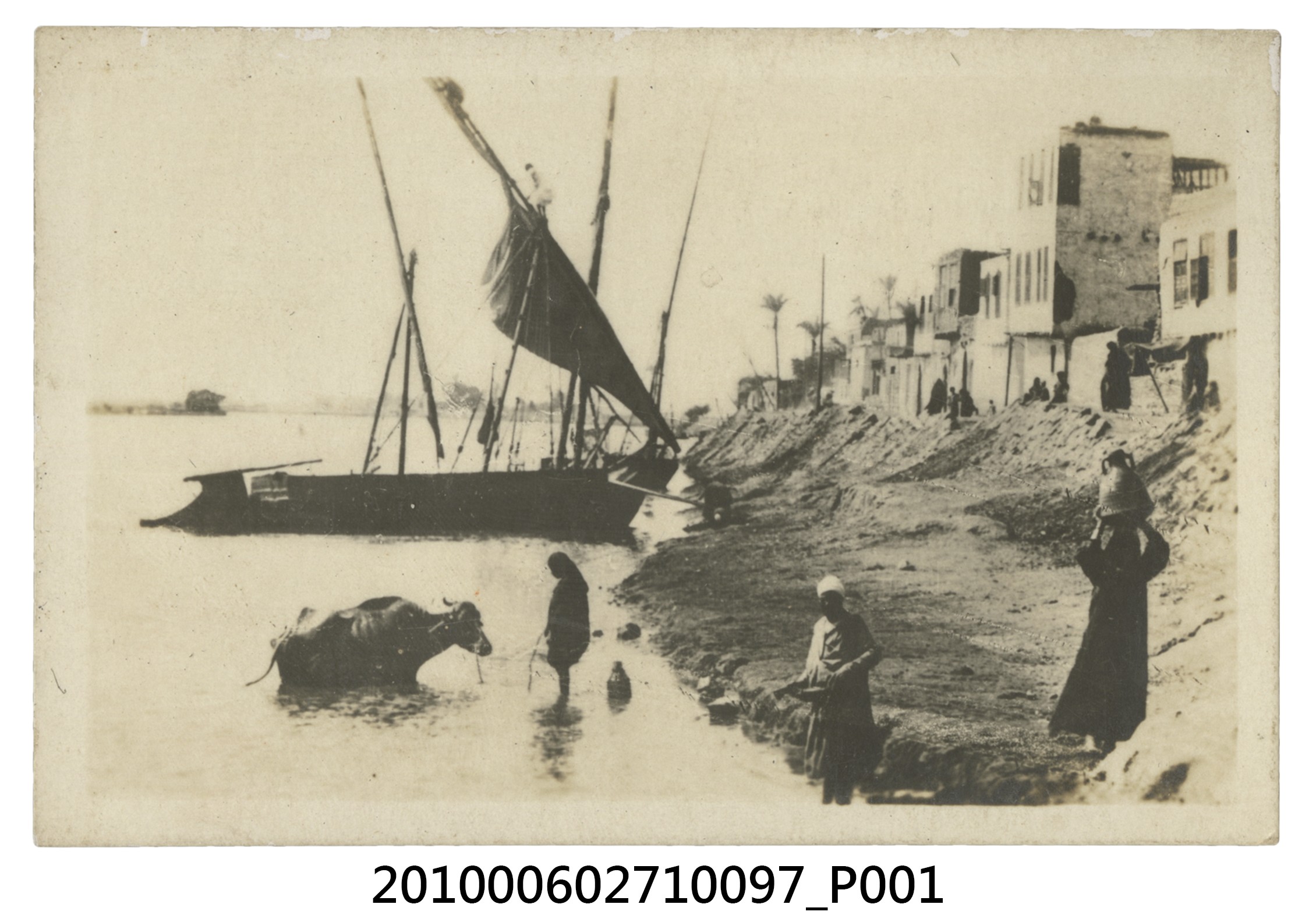 埃及河畔風情 (共2張)