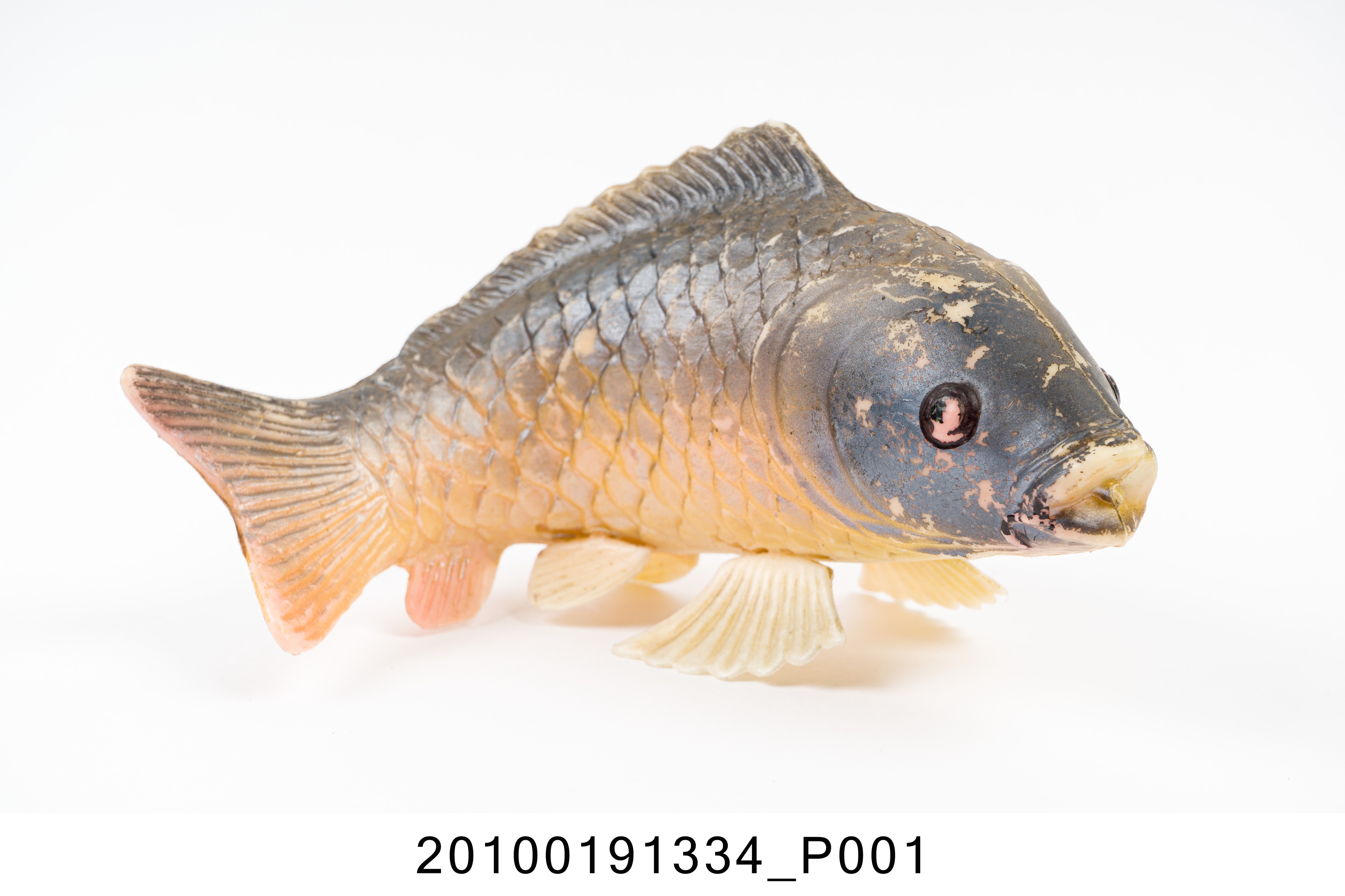 魚玩偶 (共3張)