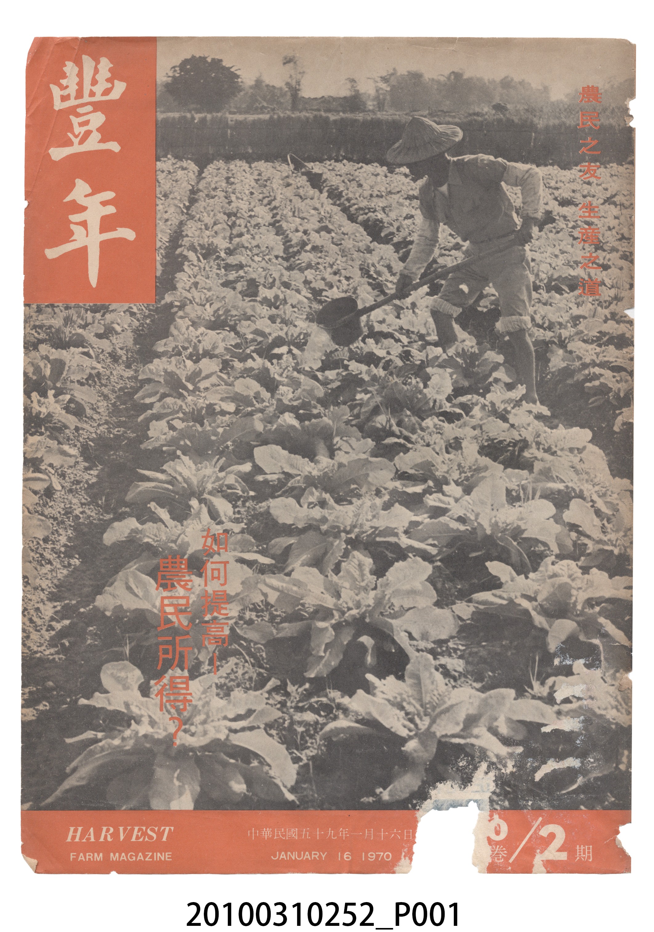豐年社《豐年》第20卷第2期 (共64張)