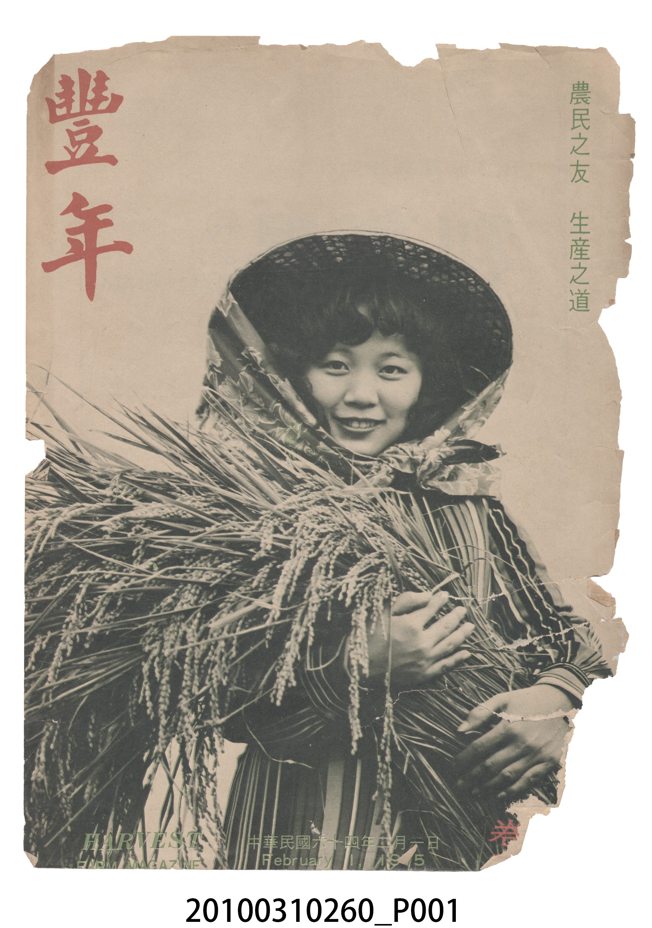 豐年社《豐年》第25卷第3期 (共73張)