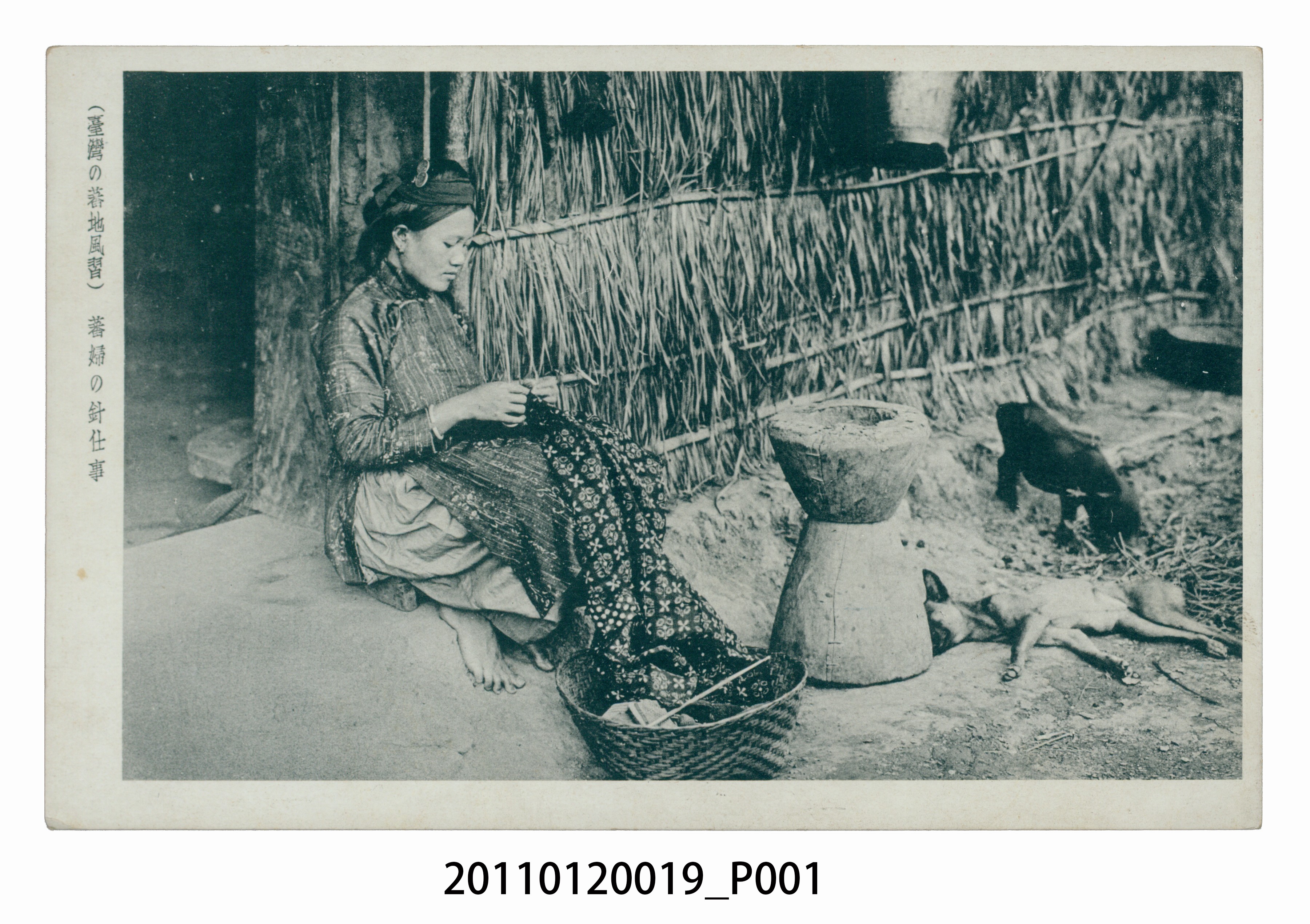 原住民婦女的針縫 (共3張)