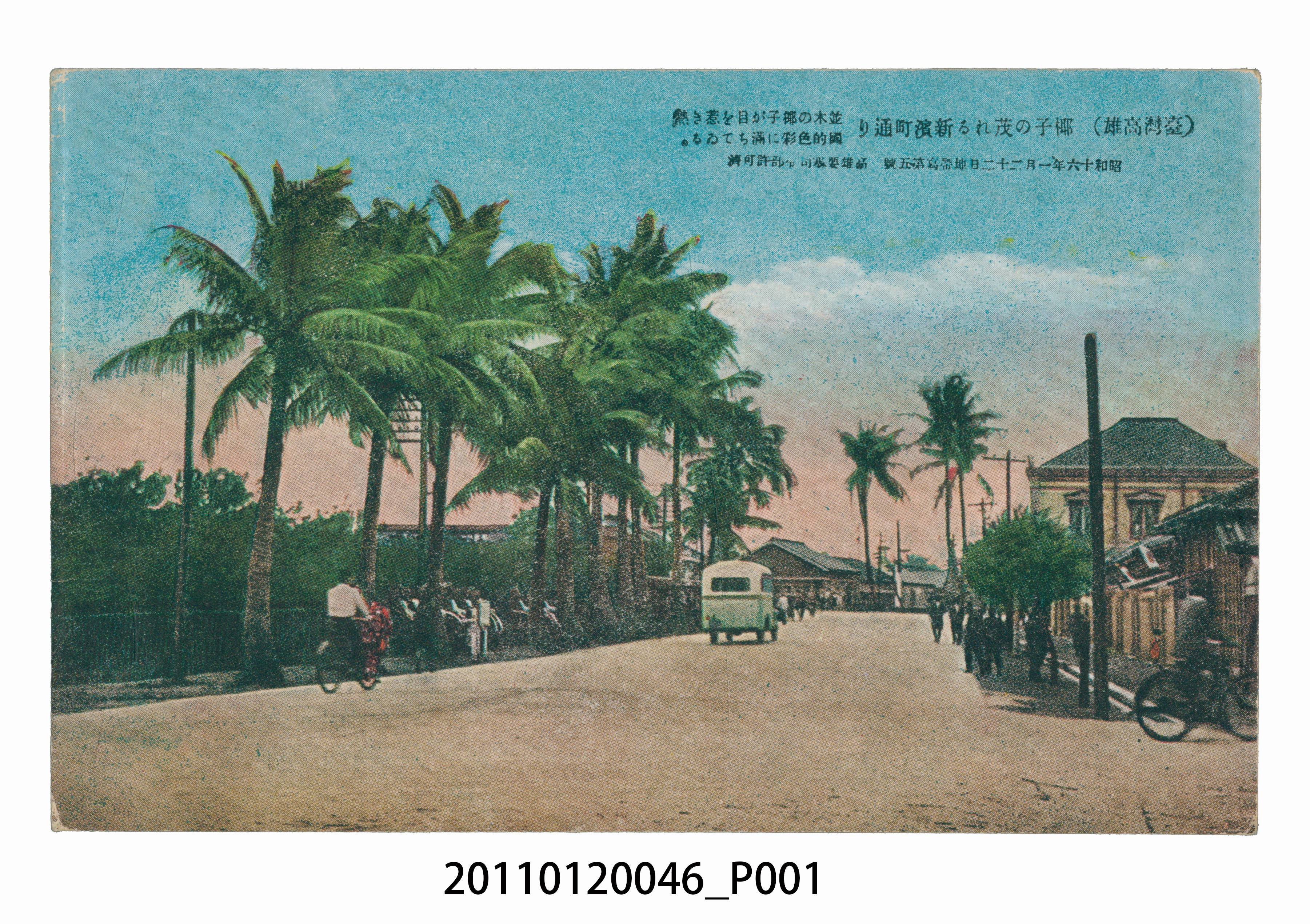 臺灣高雄新濱町椰林道 (共3張)
