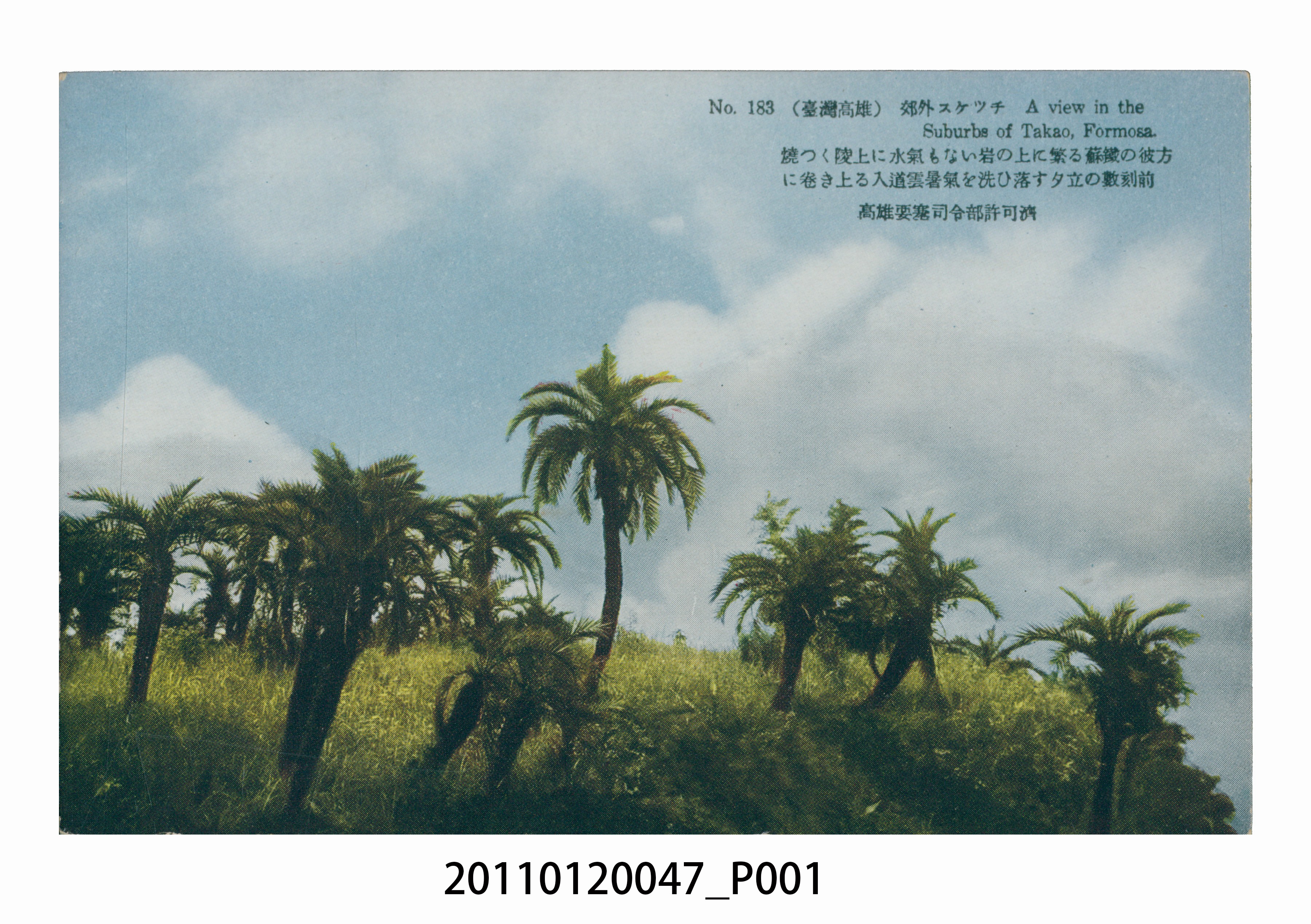 臺北生蕃屋本店印行高雄風景郊外蘇鐵 (共3張)