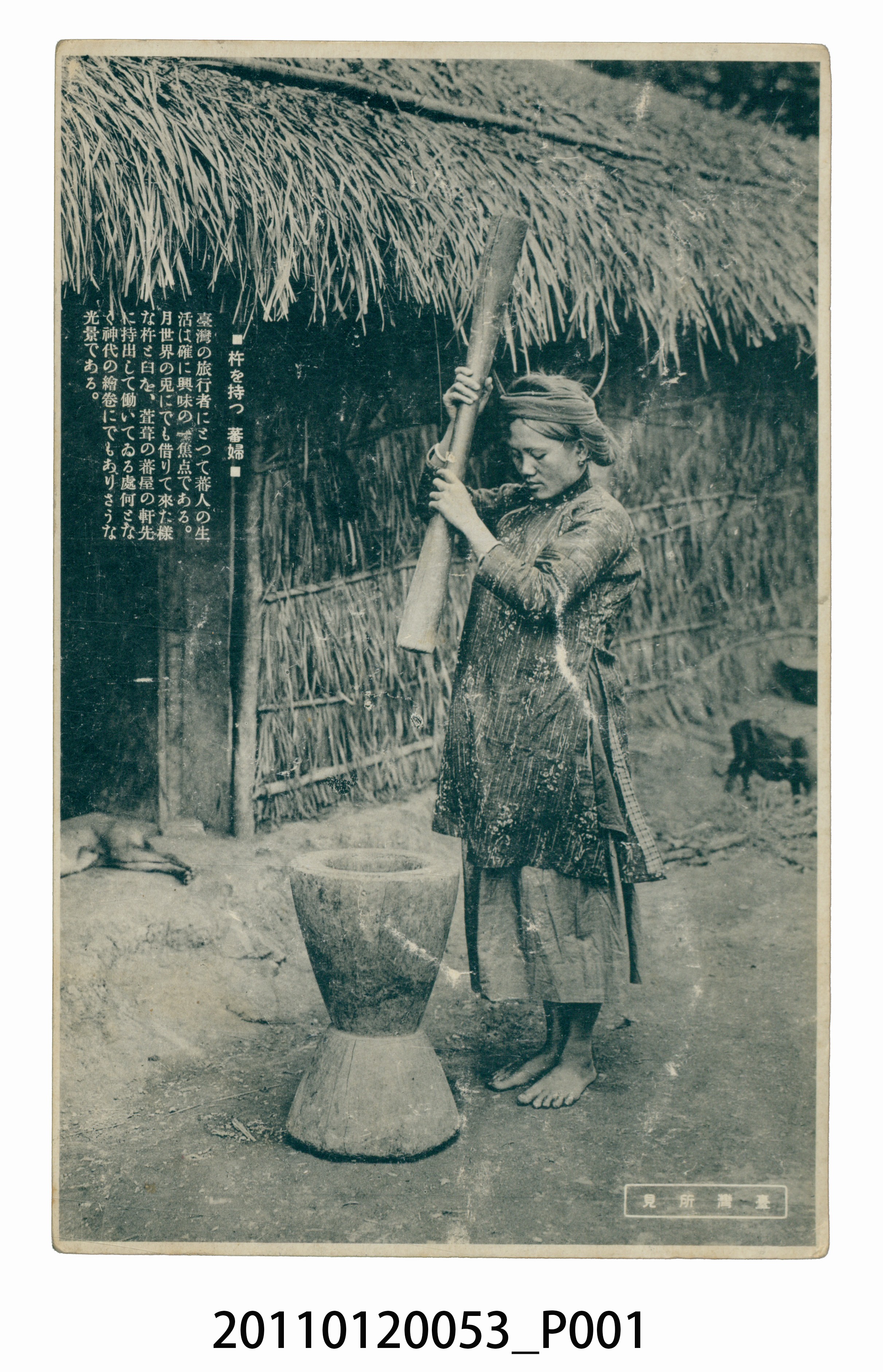 原住民婦人舂小米 (共3張)