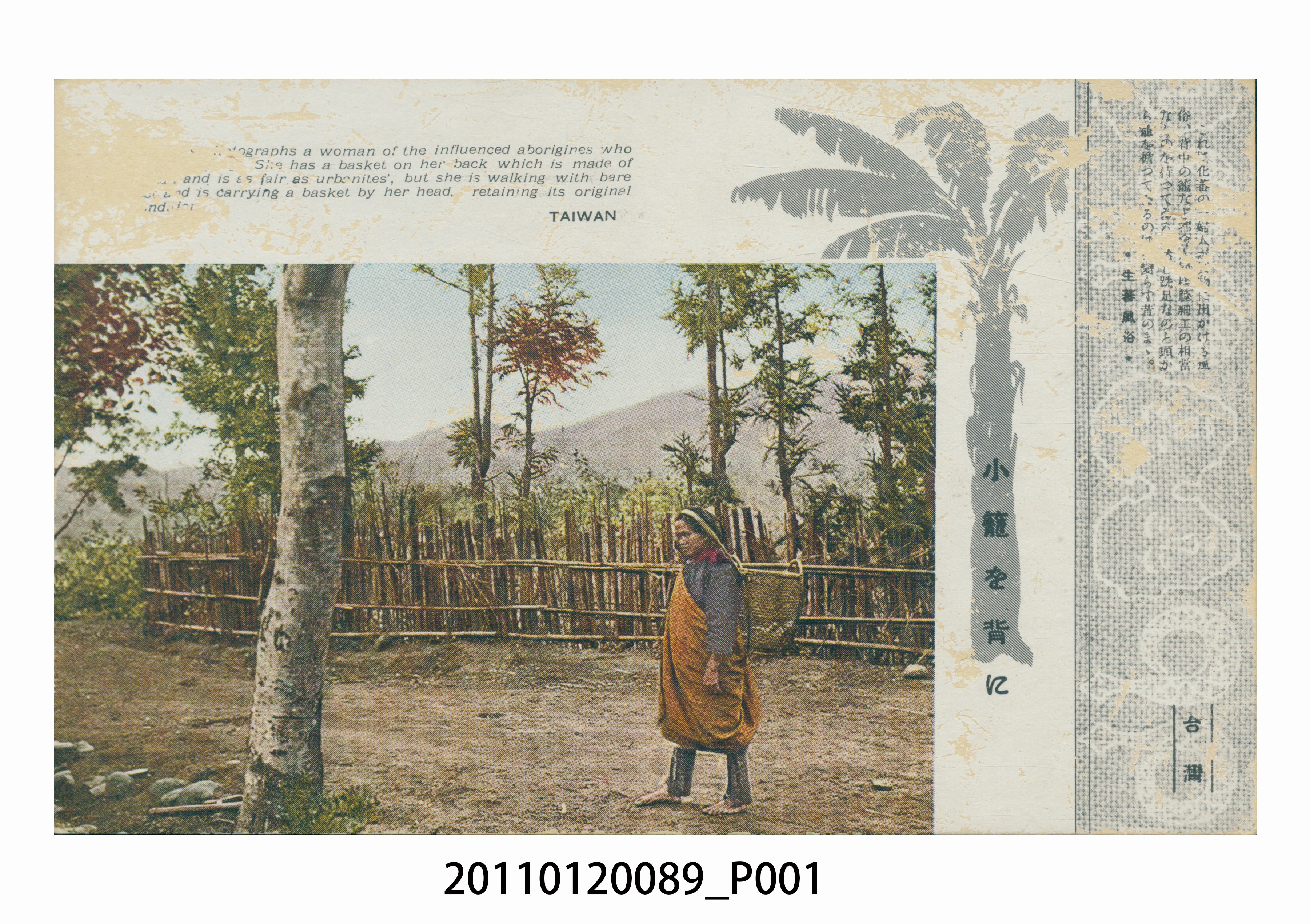 背藤籠的原住民婦女 (共3張)