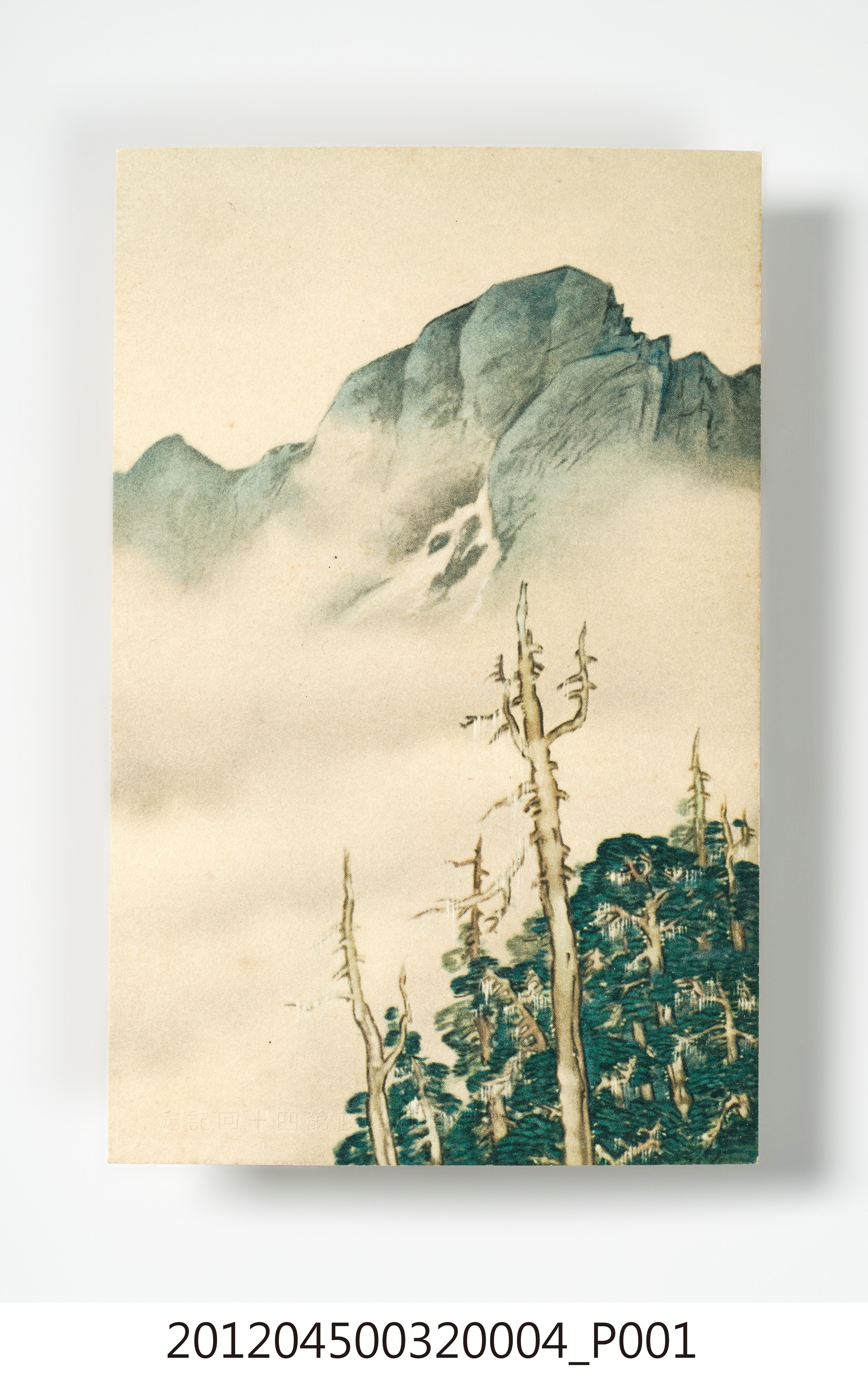 新高山 (共7張)