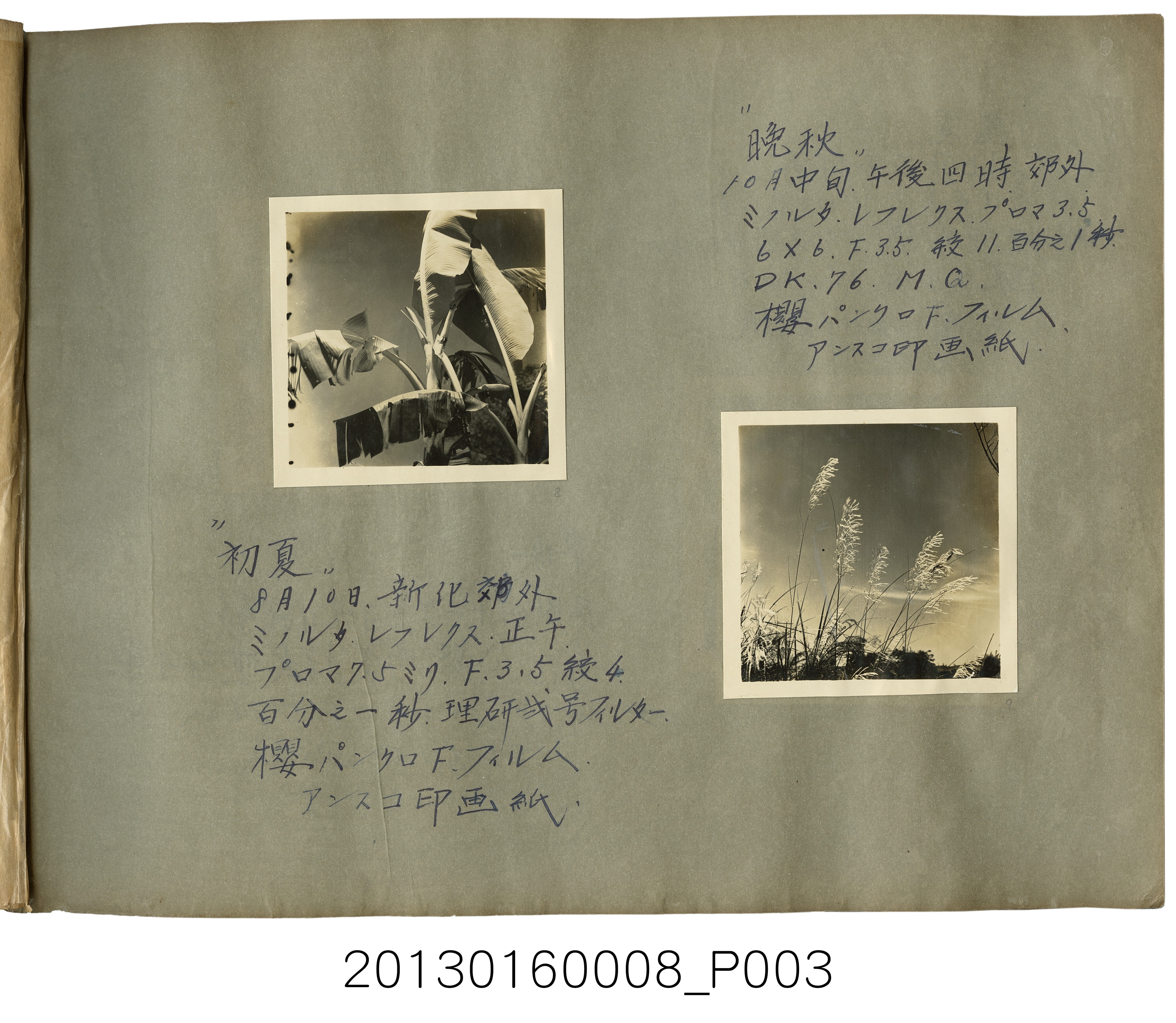 陳崧波攝影作品相簿05(Photo album，1952-1953年) (共8張)