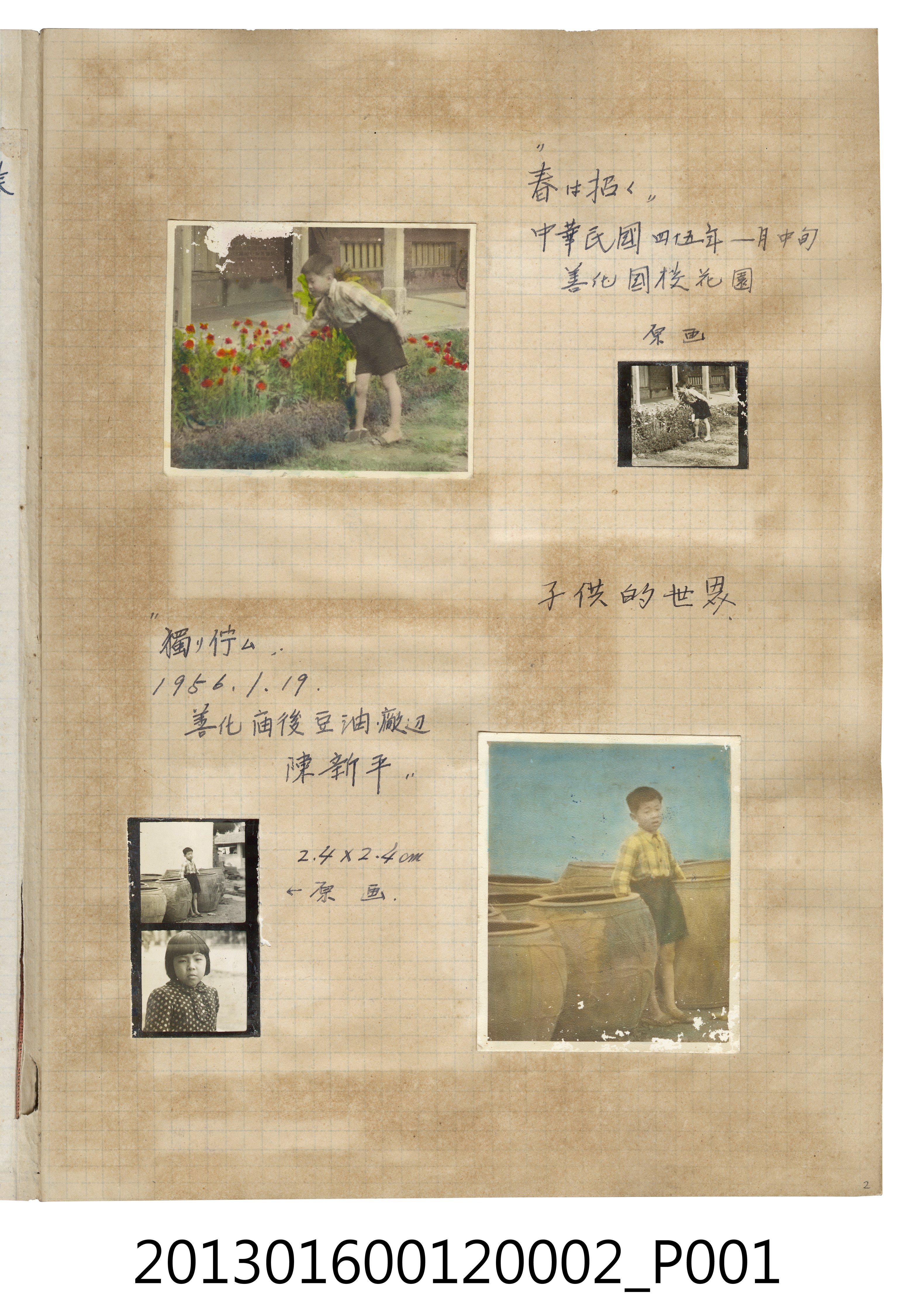 民國45年1月陳崧波兒女於善化獨照4張 (共2張)