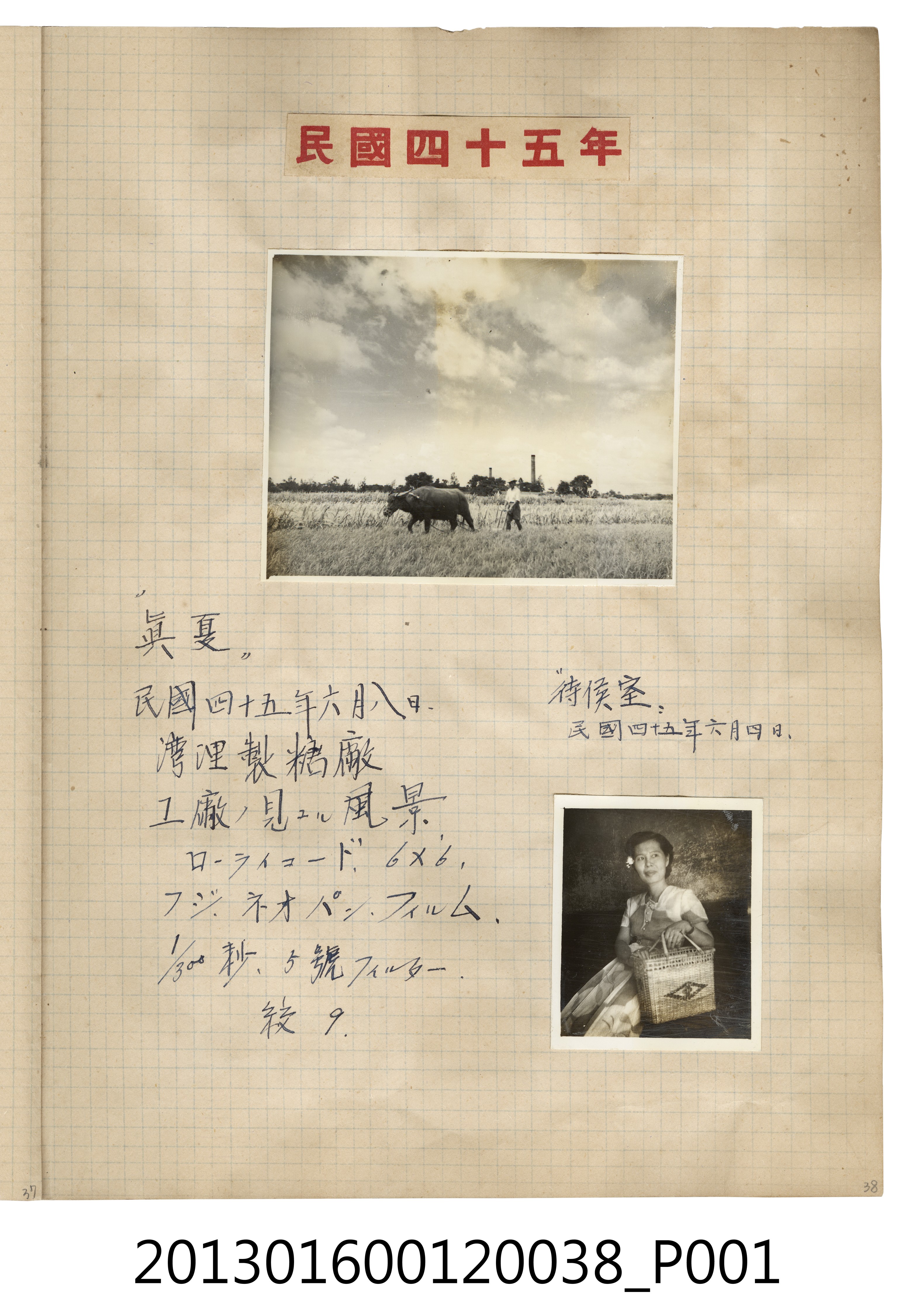 民國45年6月於善化製糖廠的盛夏與等候室照2張 (共2張)