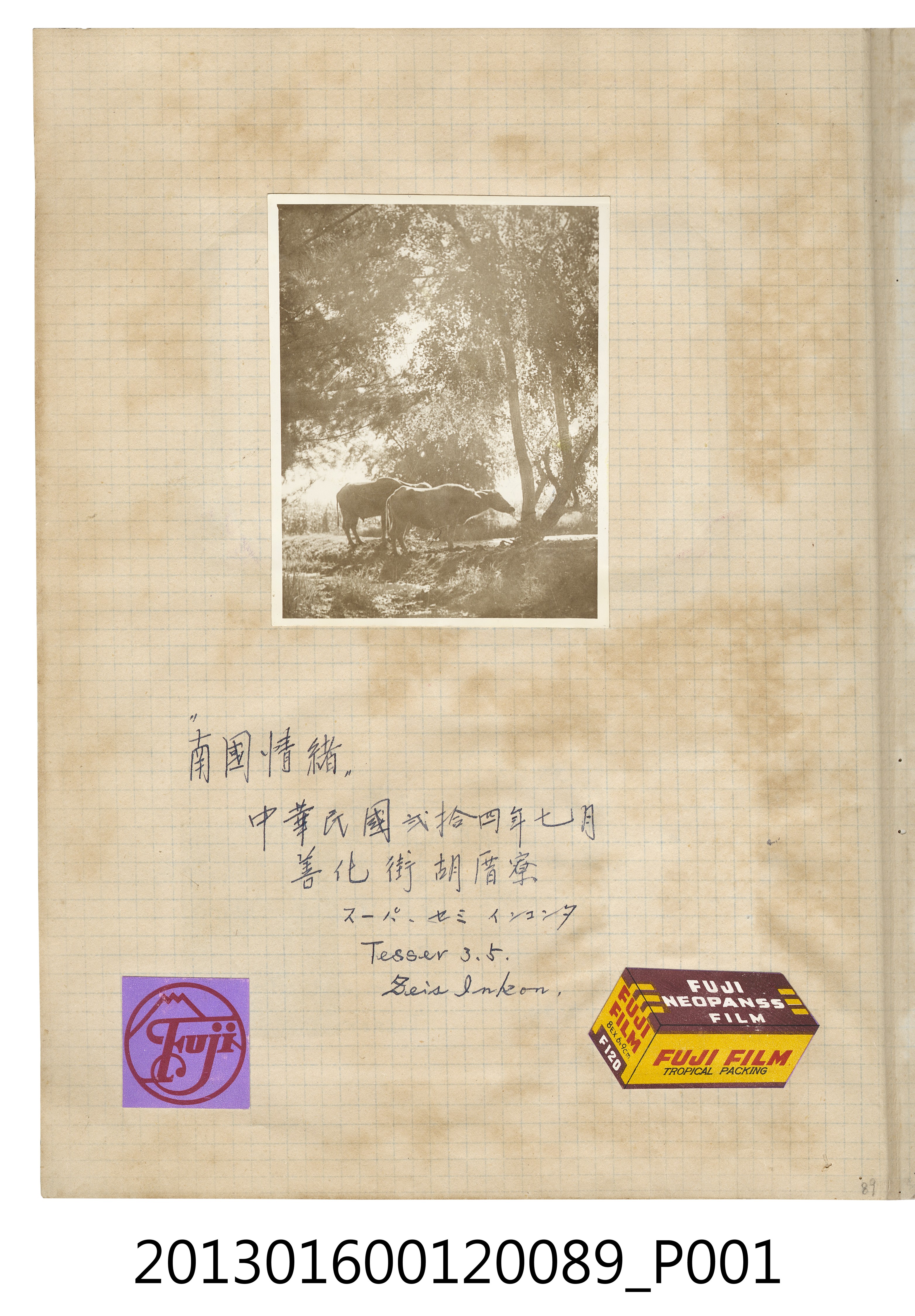 民國24年7月於善化街胡厝寮風景照1張 (共2張)