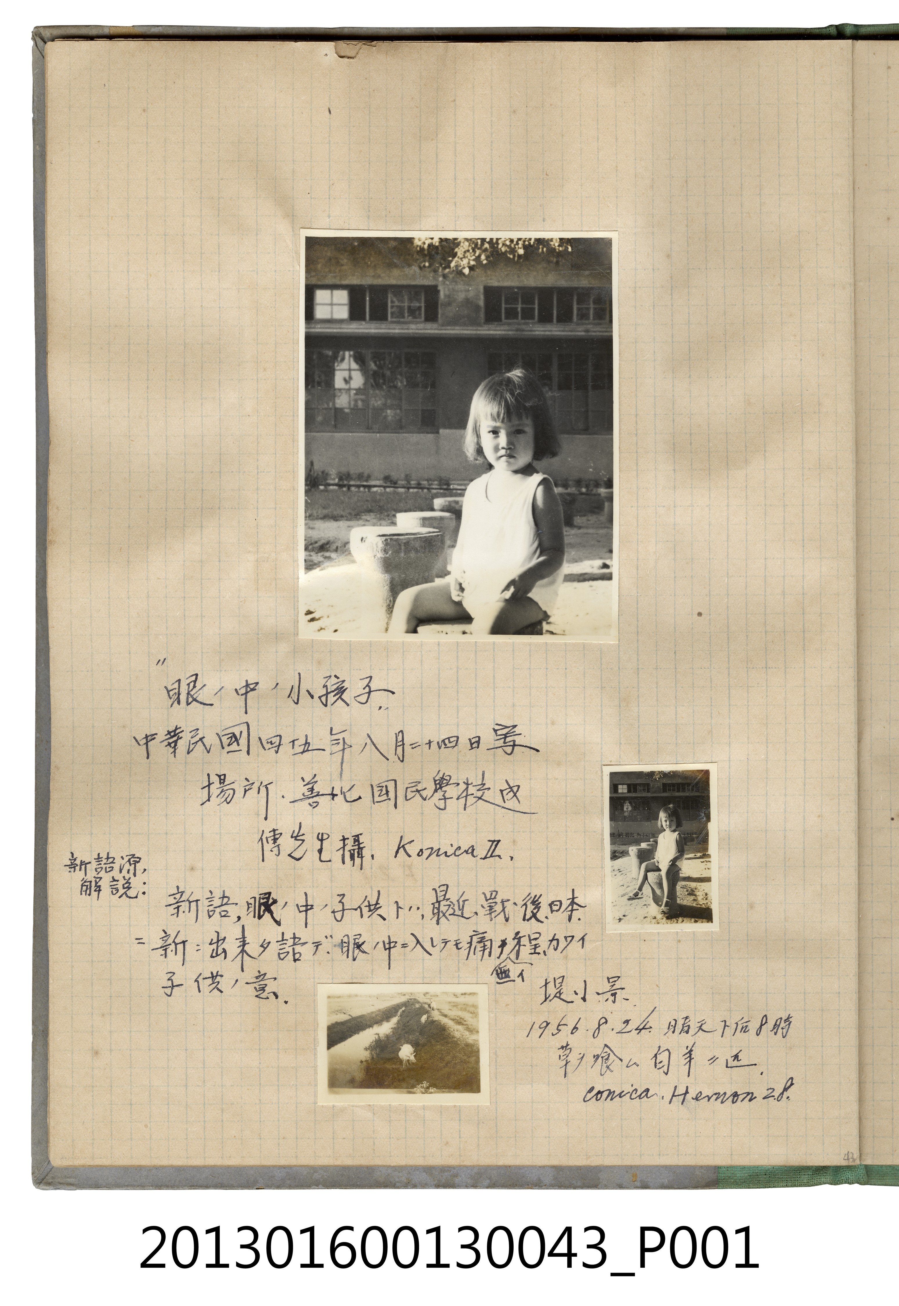 民國45年8月24日女童於善化國民學校獨照與山羊照片3張 (共2張)