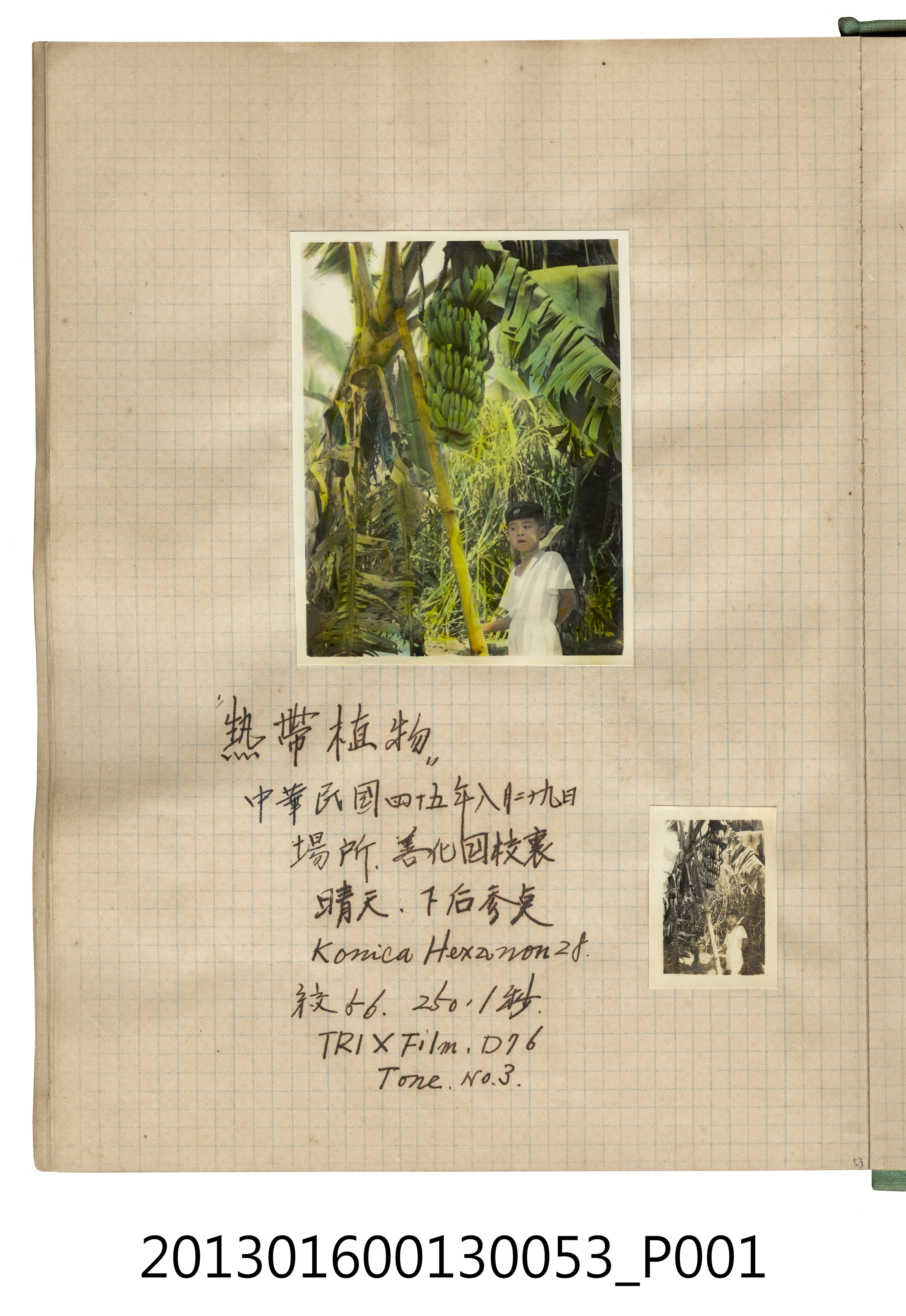 民國45年8月29日陳義鴻於善化國校獨照2張 (共2張)