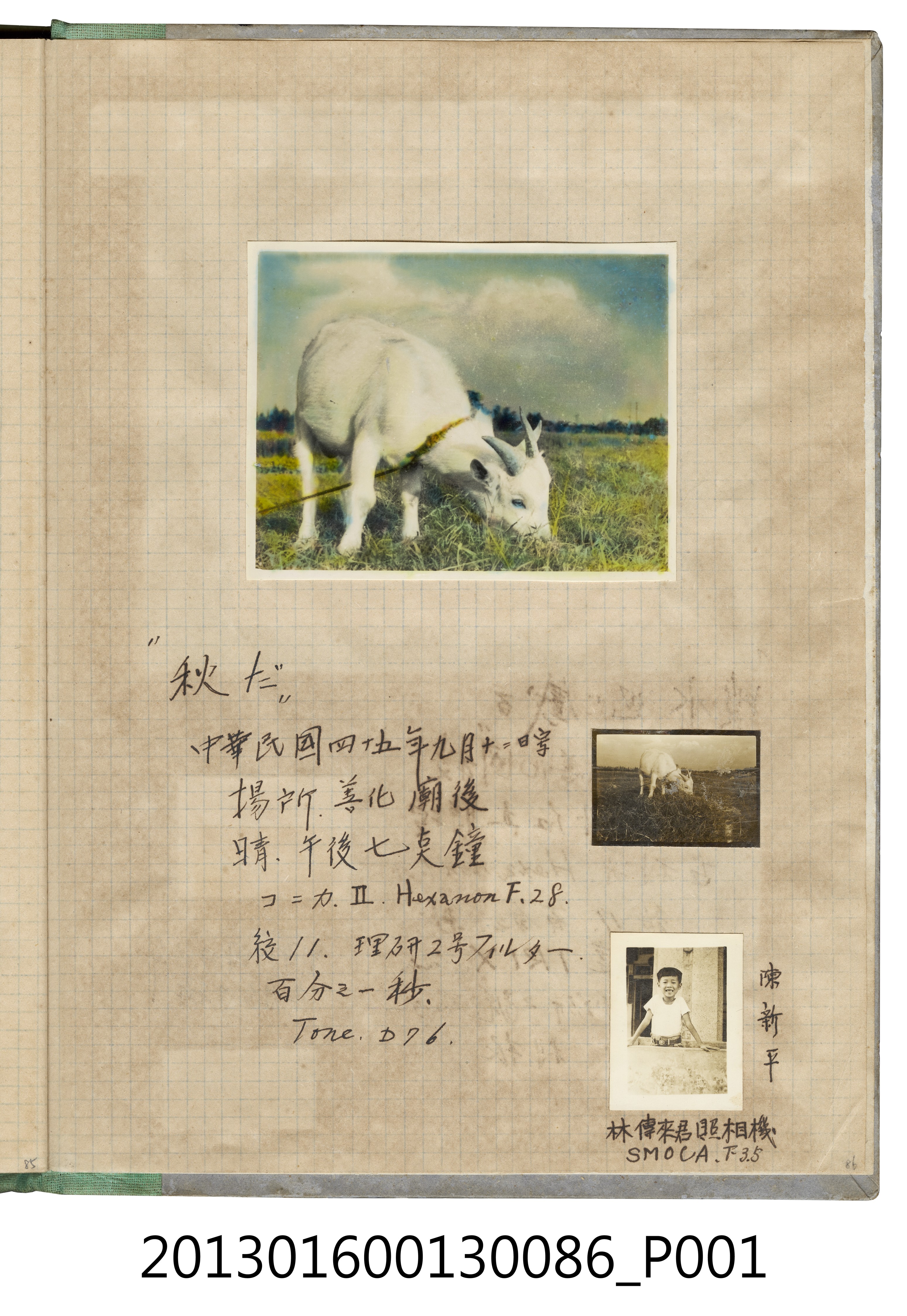 民國45年9月12日山羊於善化廟後照以及陳新平獨照共3張 (共2張)