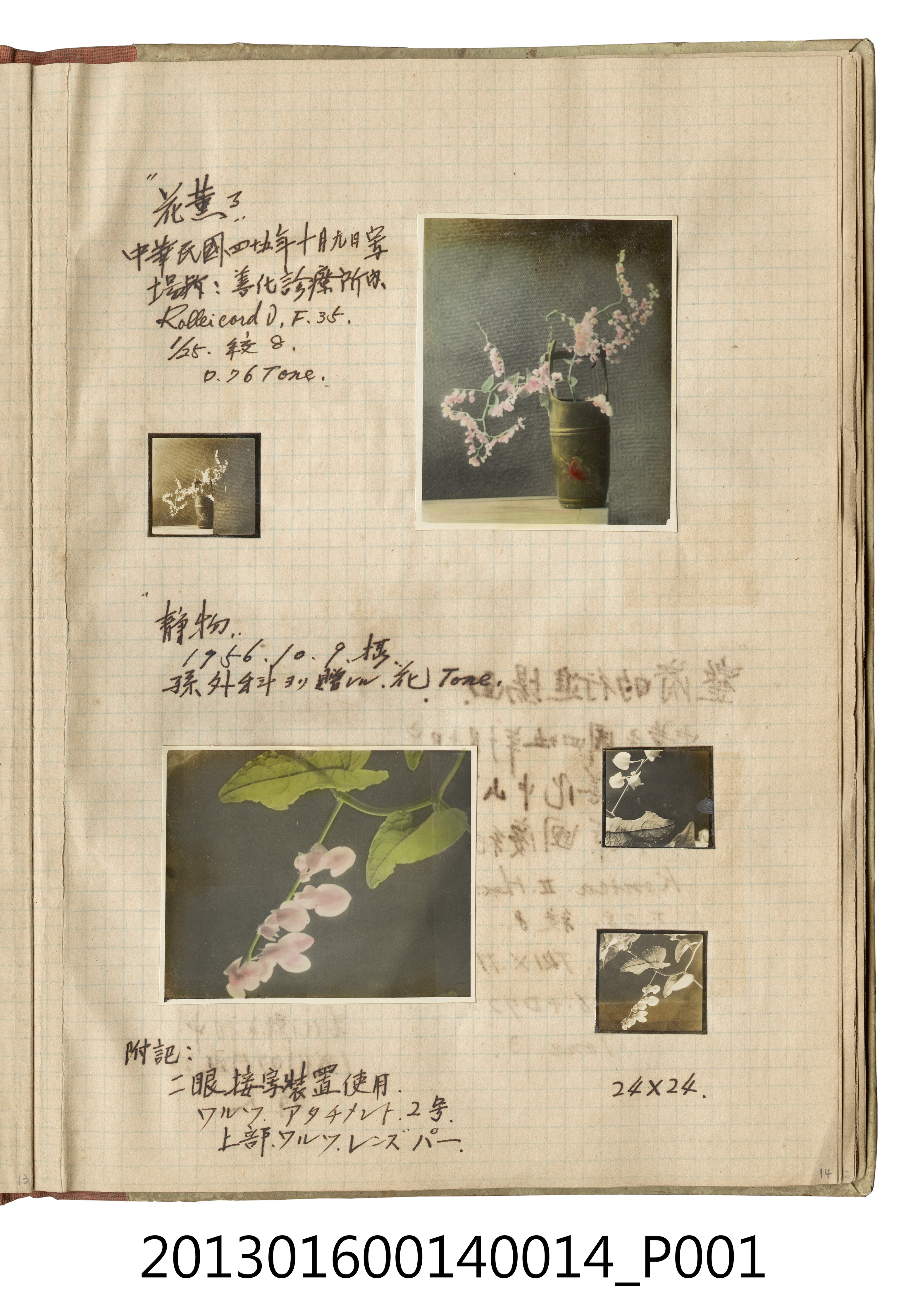 民國45年10月花卉照5張 (共2張)