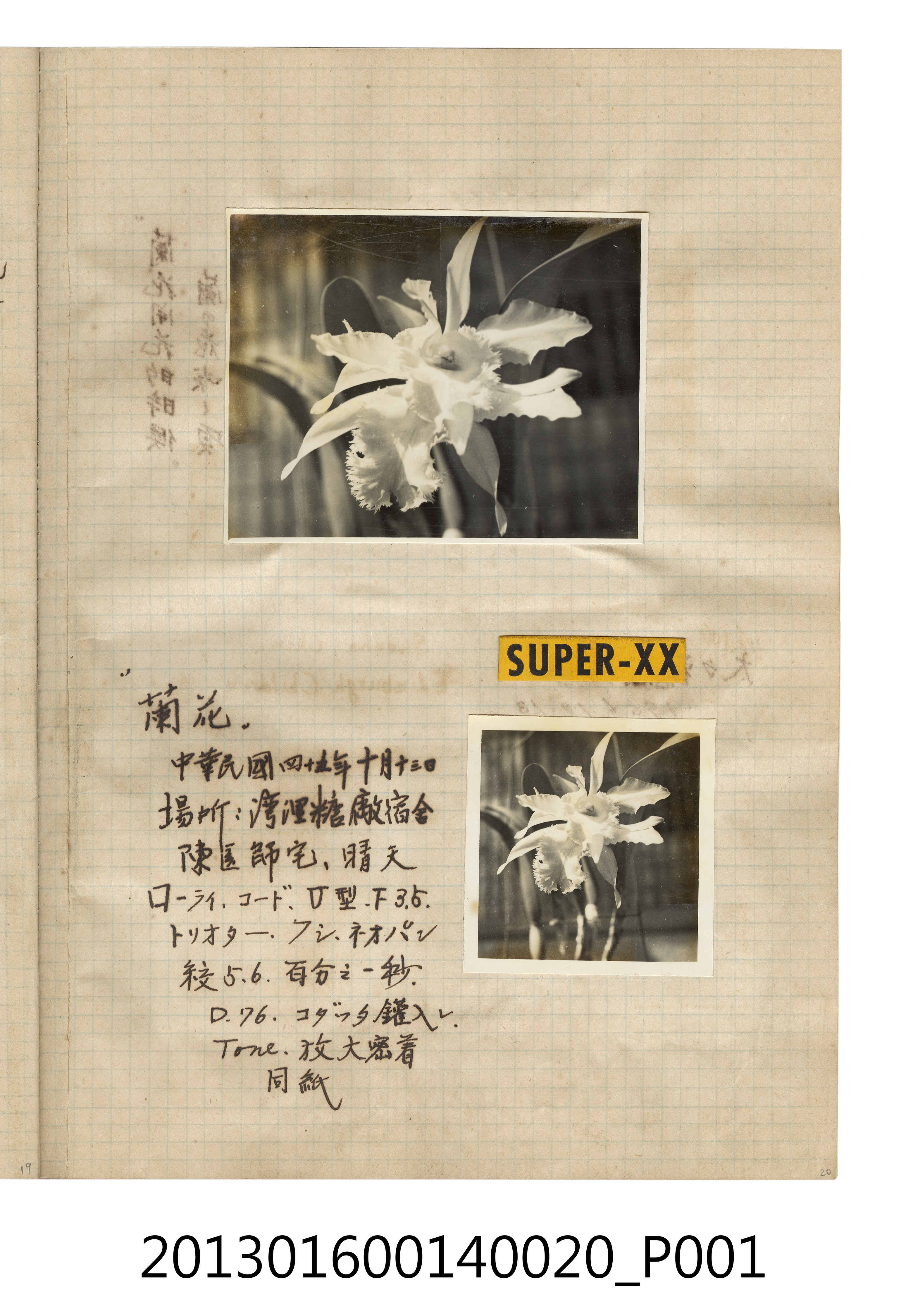 民國45年蘭花2張 (共2張)