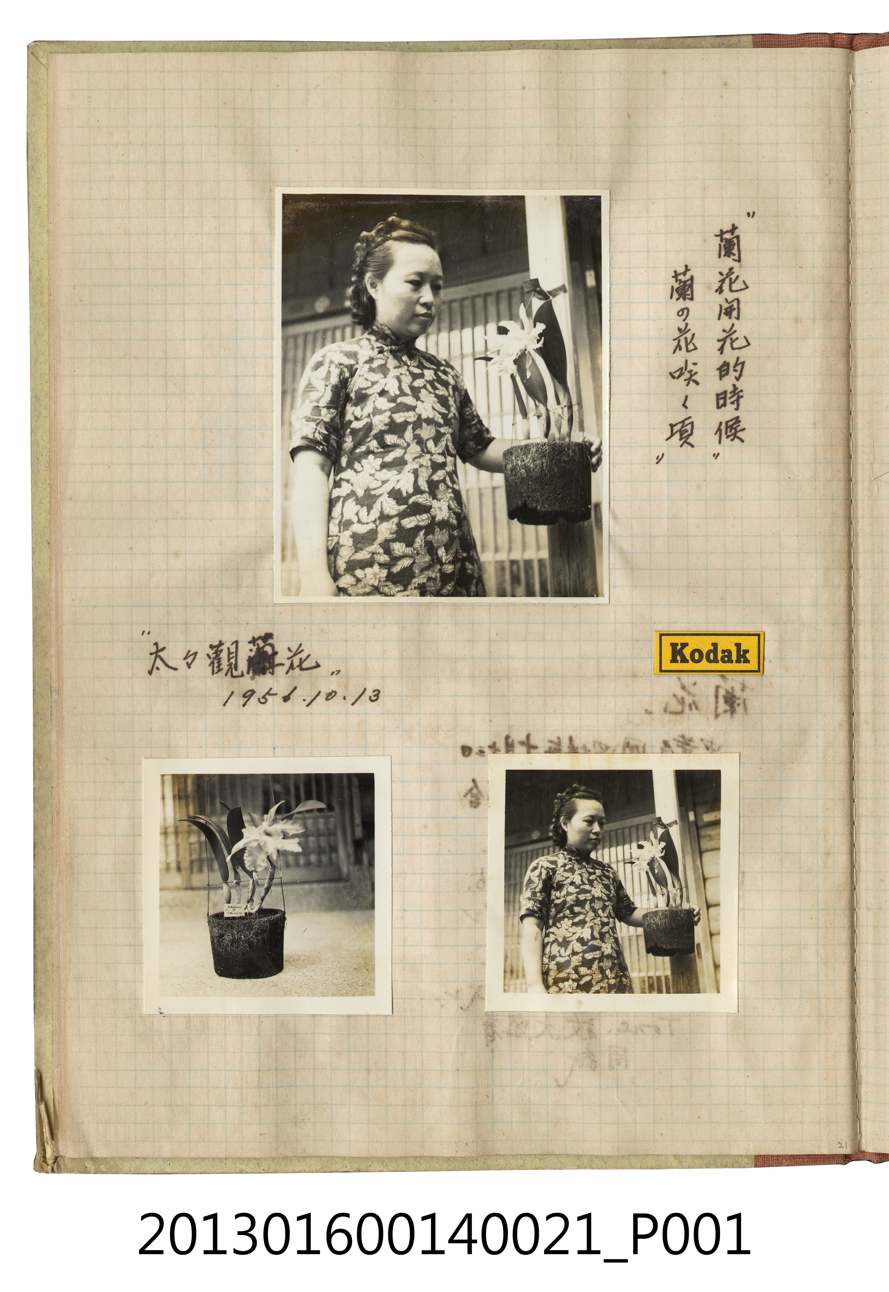 西元1956年陳崧波之妻觀蘭花3張 (共2張)