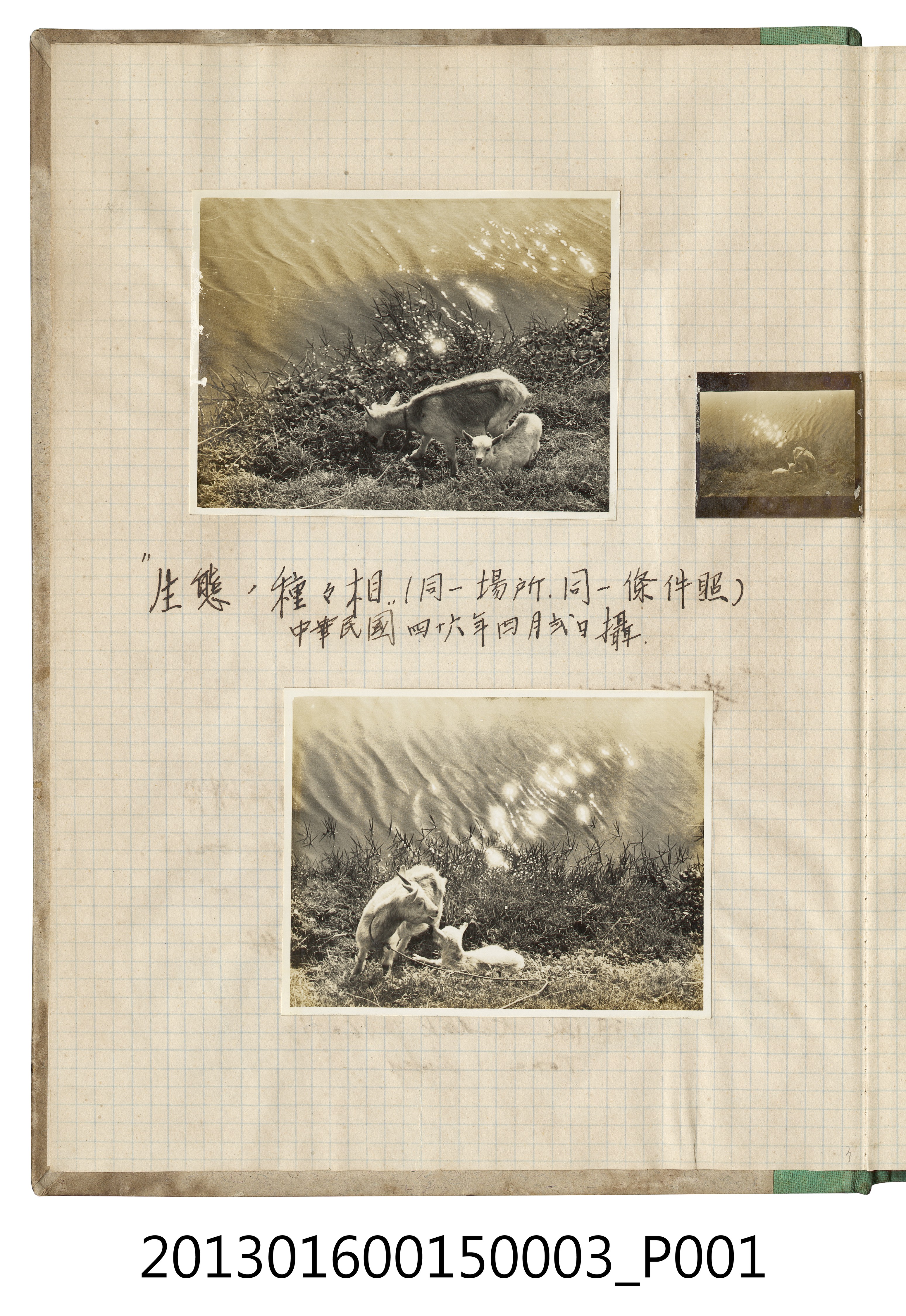 民國46年4月風景照3張 (共2張)