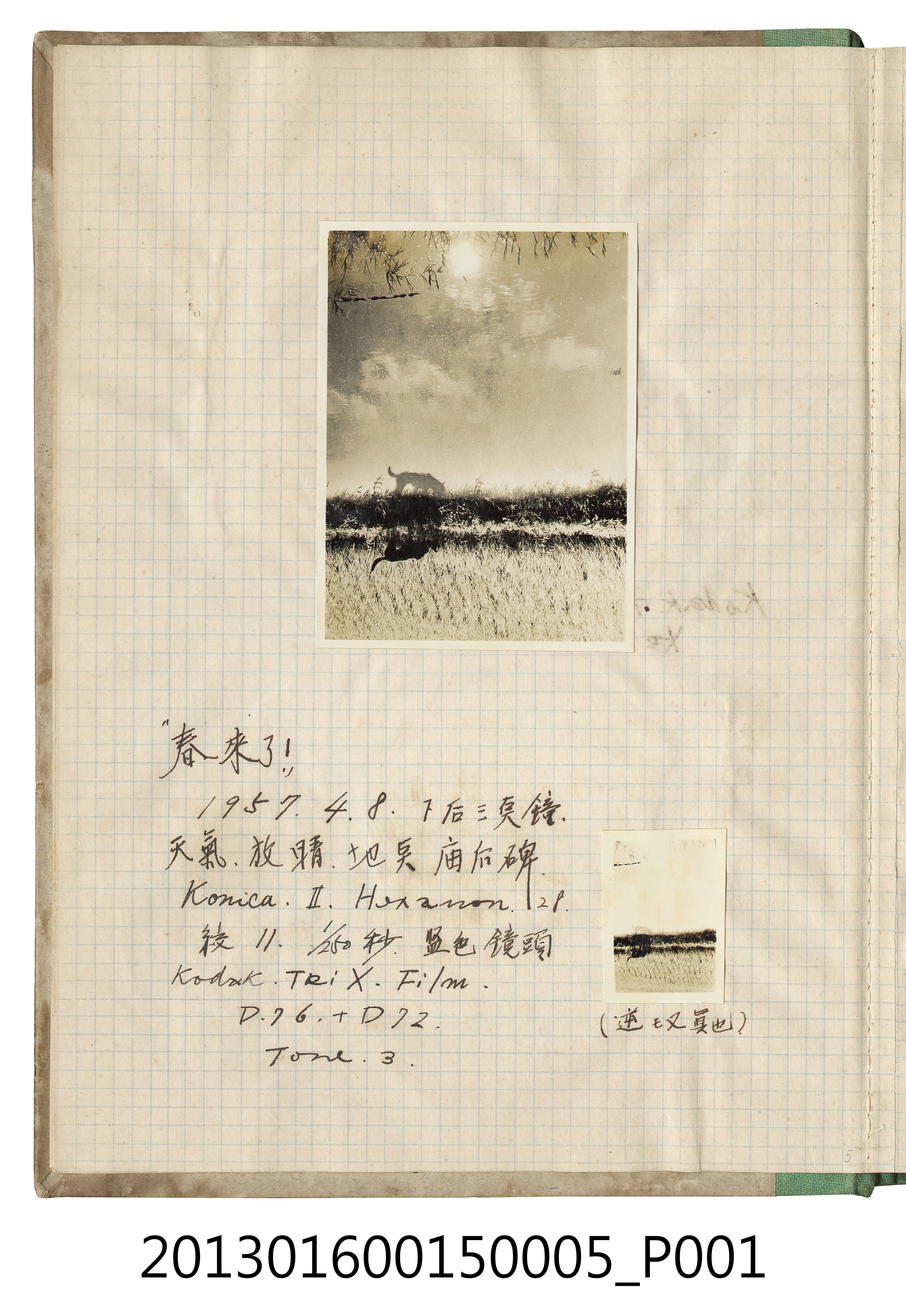 1957年4月8日於廟後碑風景照2張 (共2張)
