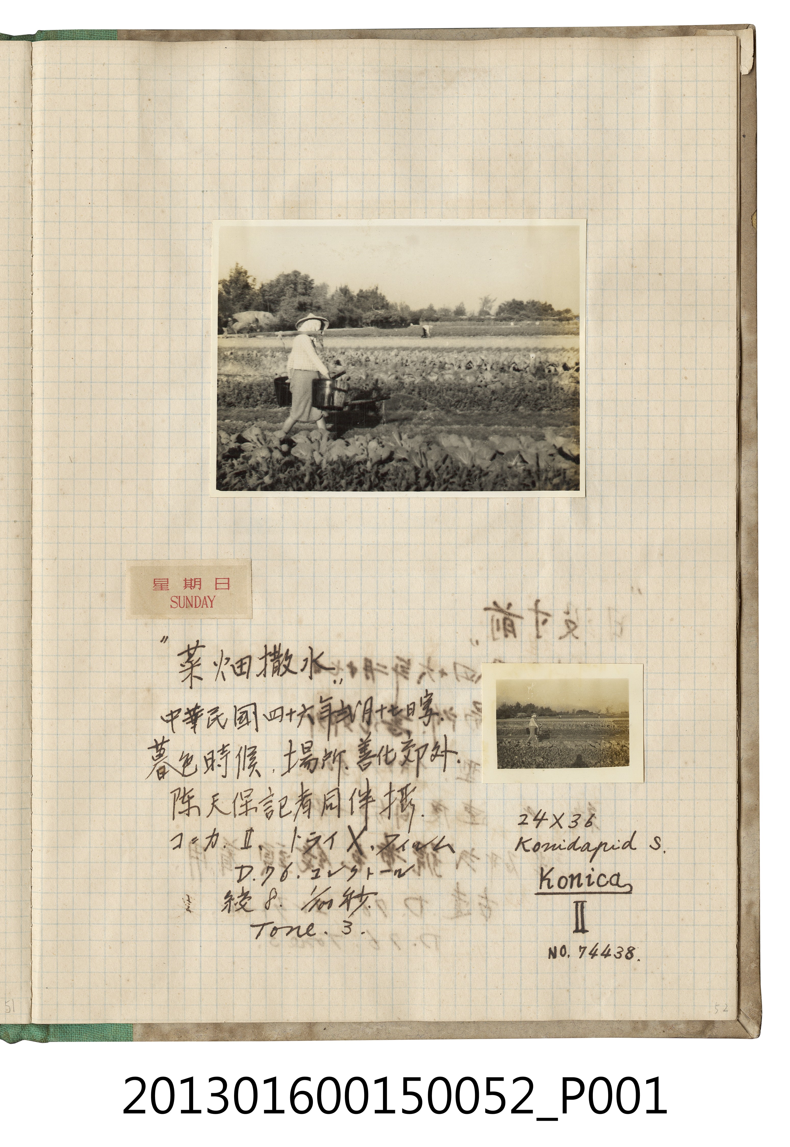 民國46年2月17日善化郊外農夫灑水照2張 (共2張)