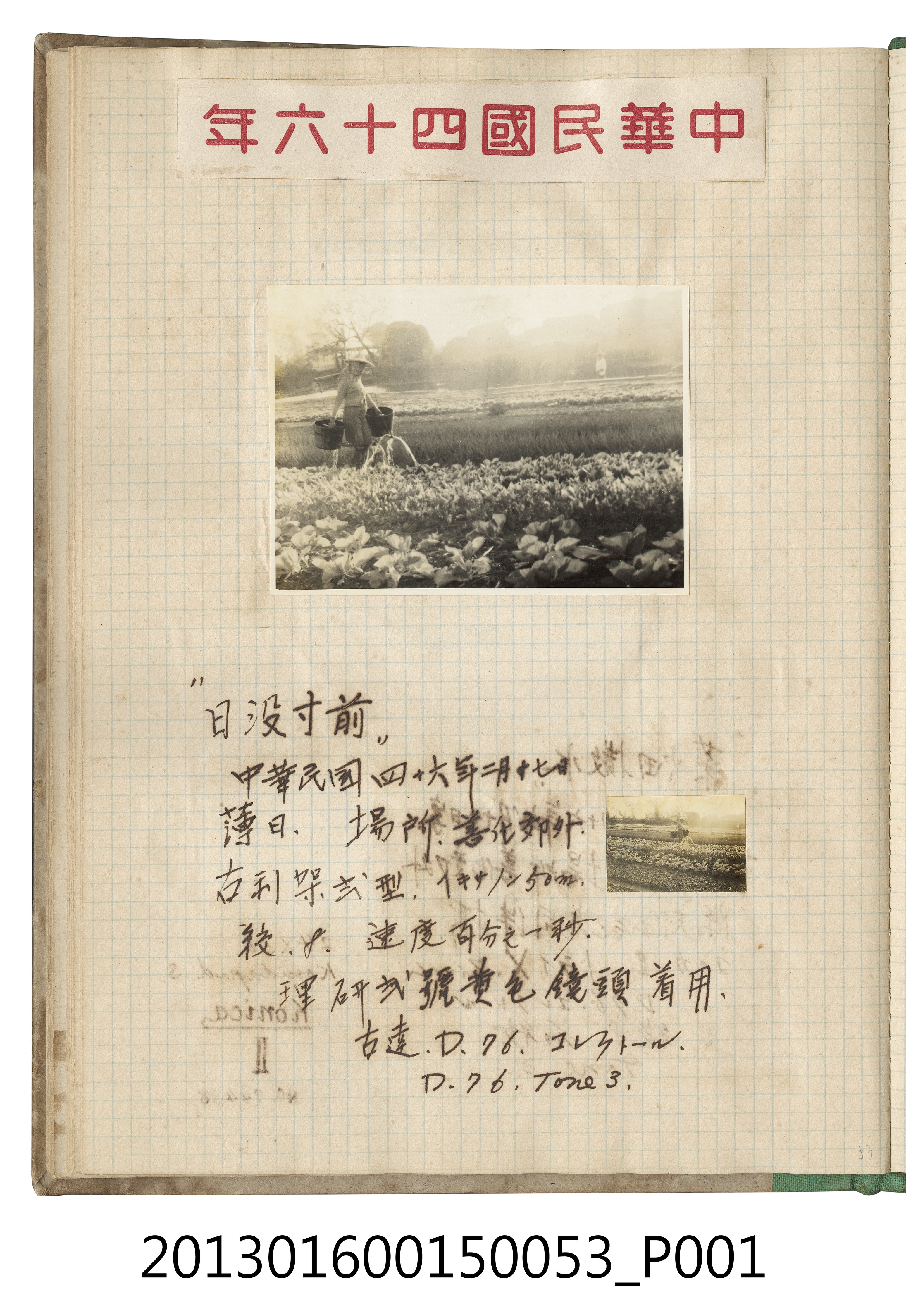 民國46年2月17日善化郊外農夫灑水照2張 (共2張)