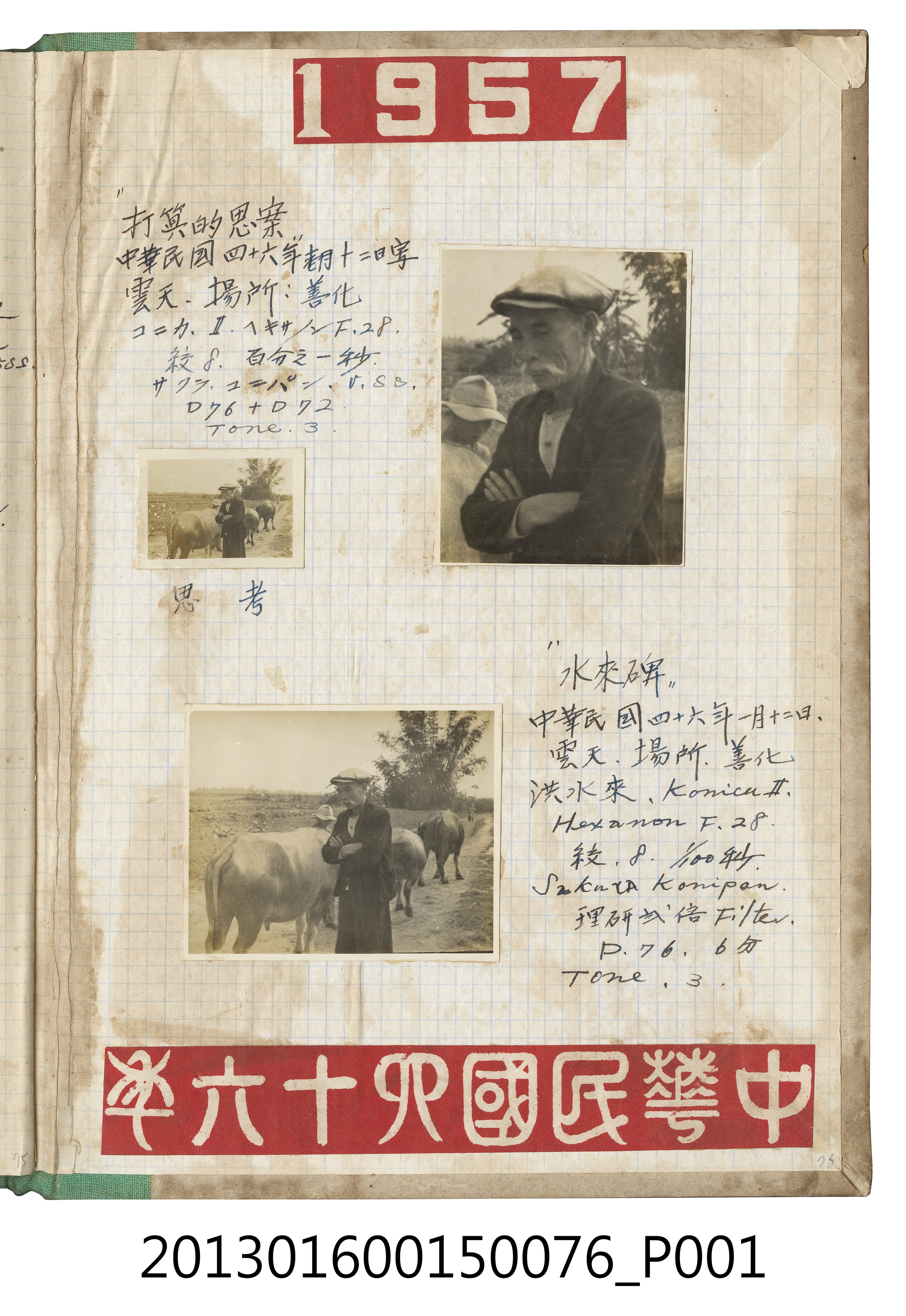 民國46年1月12日老人獨照與老人與牛照3張 (共2張)