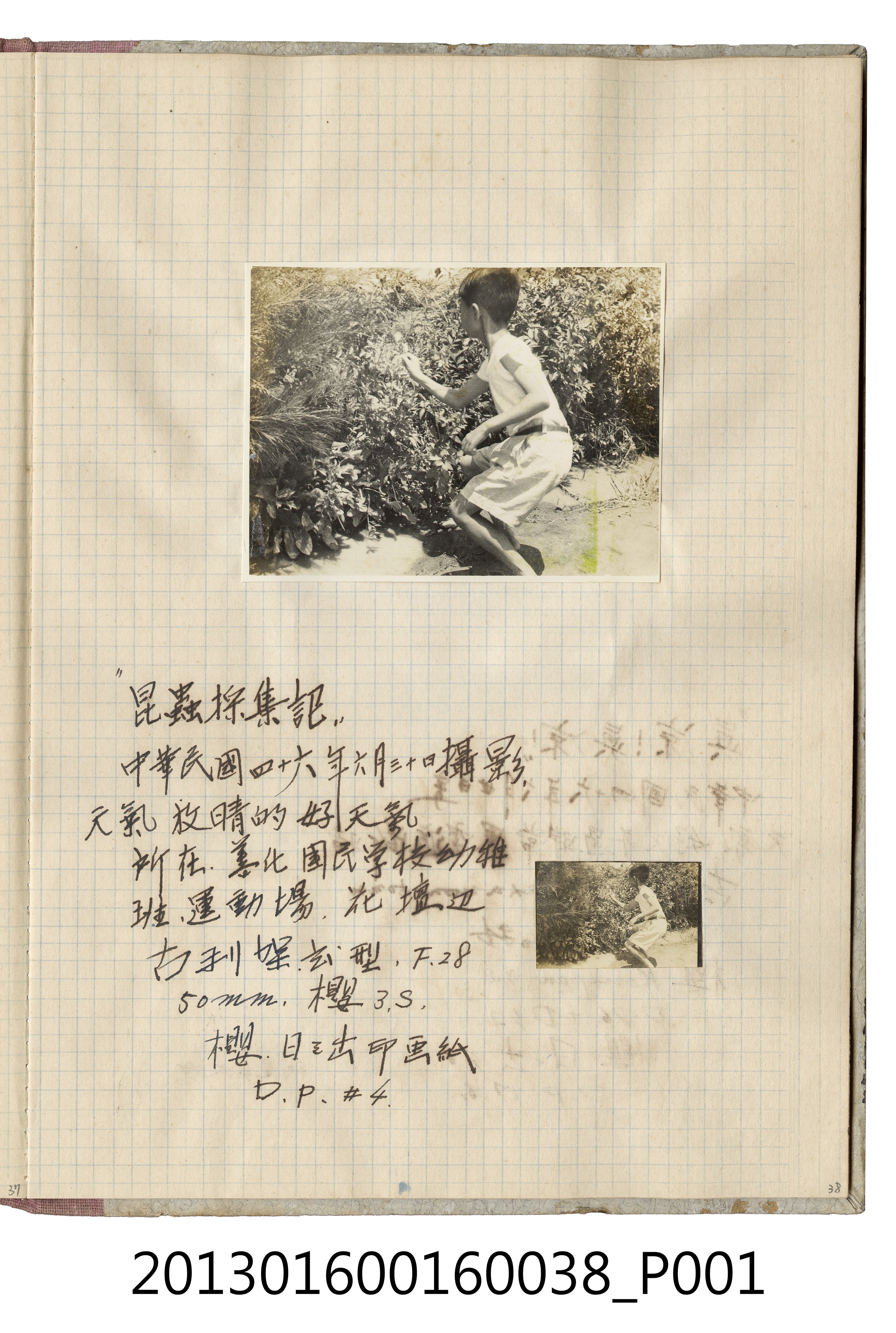 民國46年6月30日陳新平於善化國民學校幼稚班花園內獨照 (共2張)