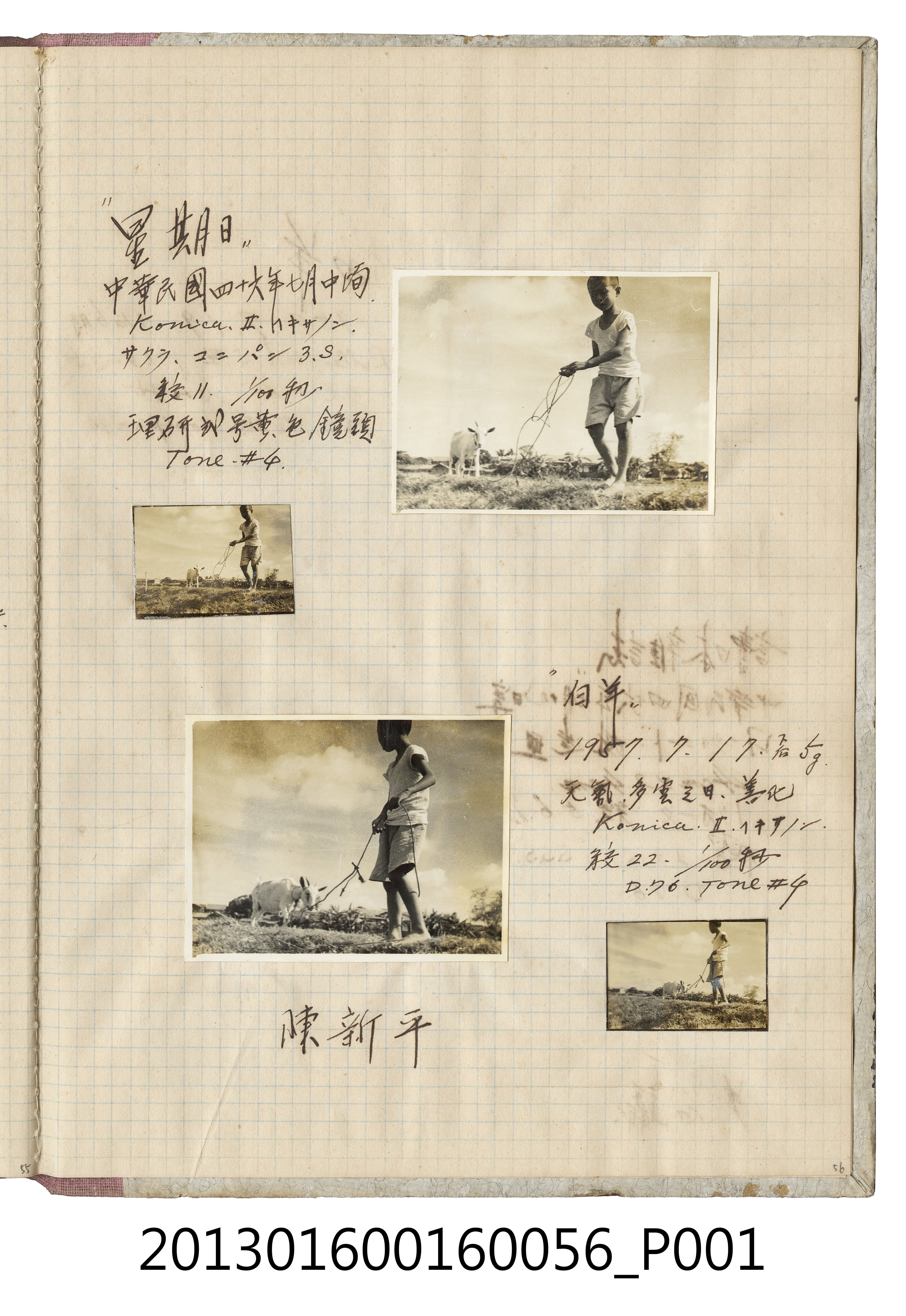 民國46年7月17日陳新平與小白羊於善化合照 (共2張)