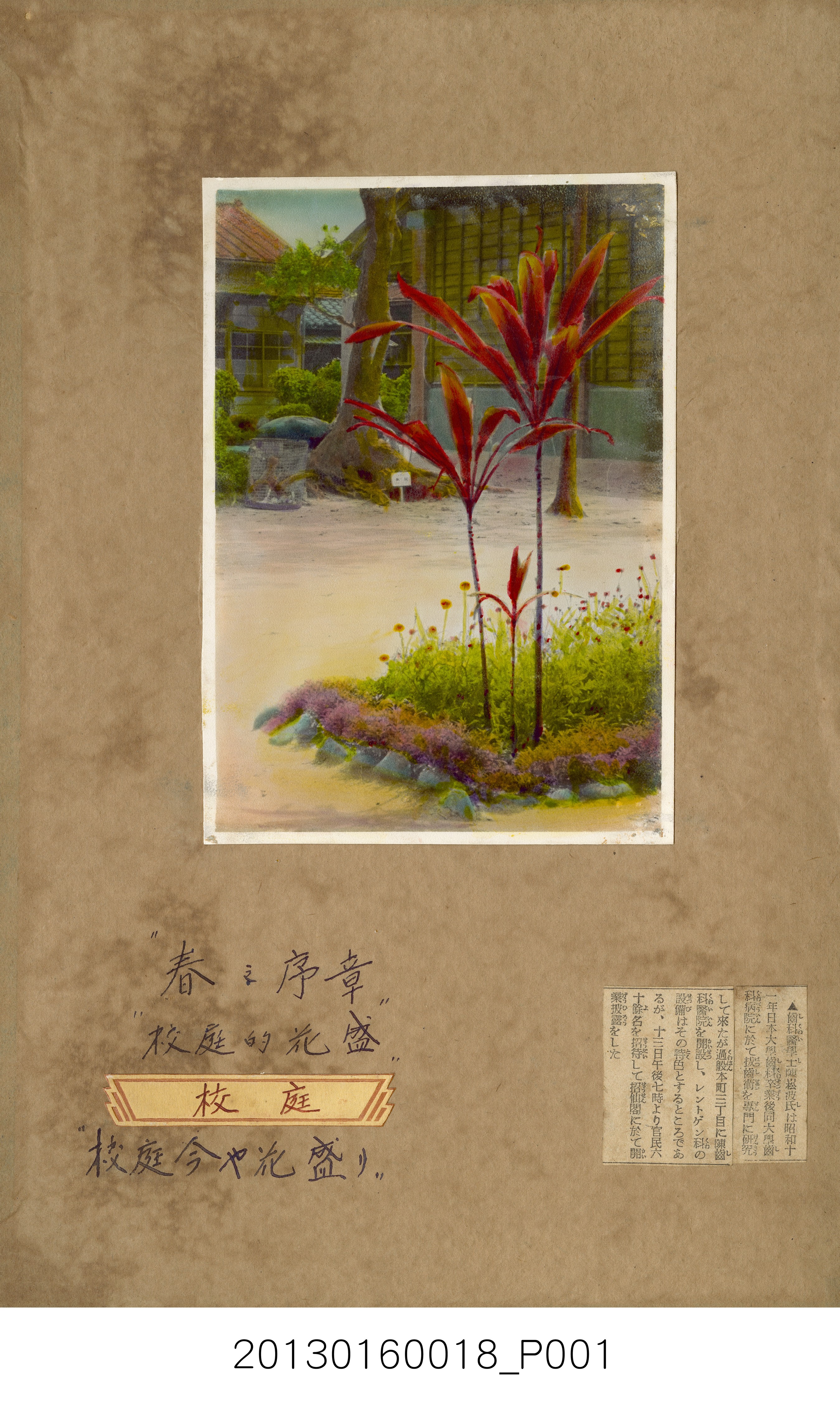陳崧波攝影作品相簿-15(SRAPE BOOK) (共84張)