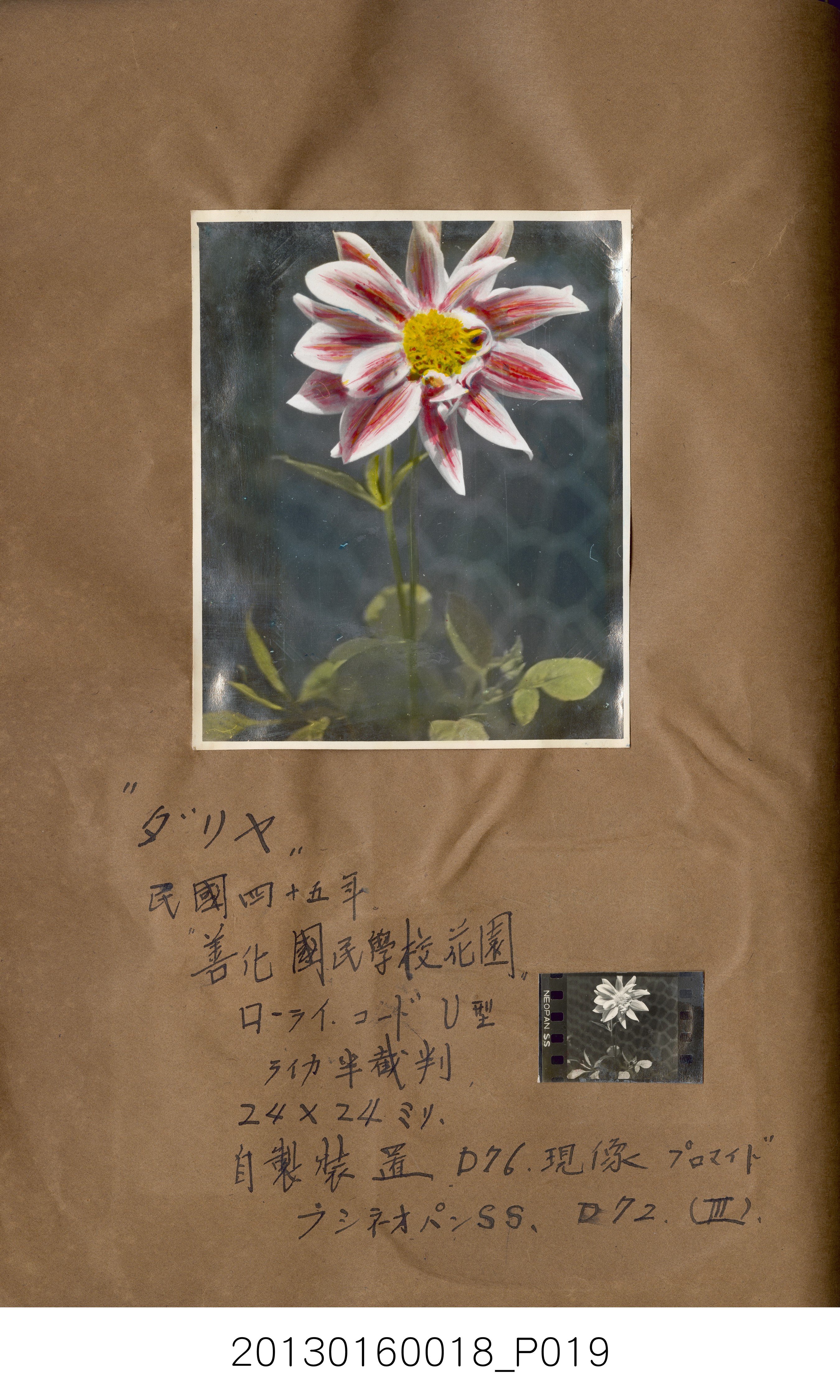 陳崧波攝影作品相簿-15(SRAPE BOOK) (共84張)