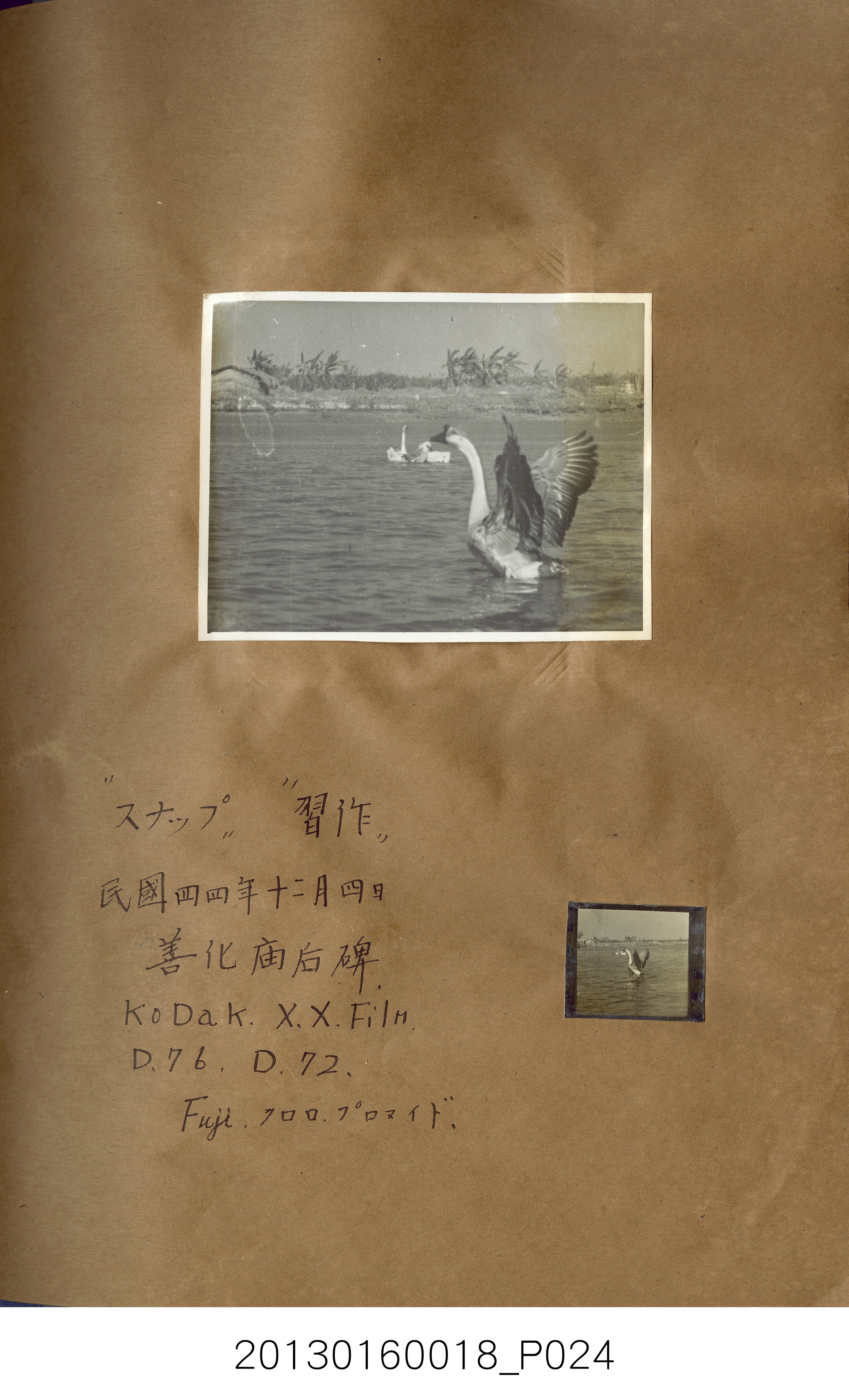 陳崧波攝影作品相簿-15(SRAPE BOOK) (共84張)