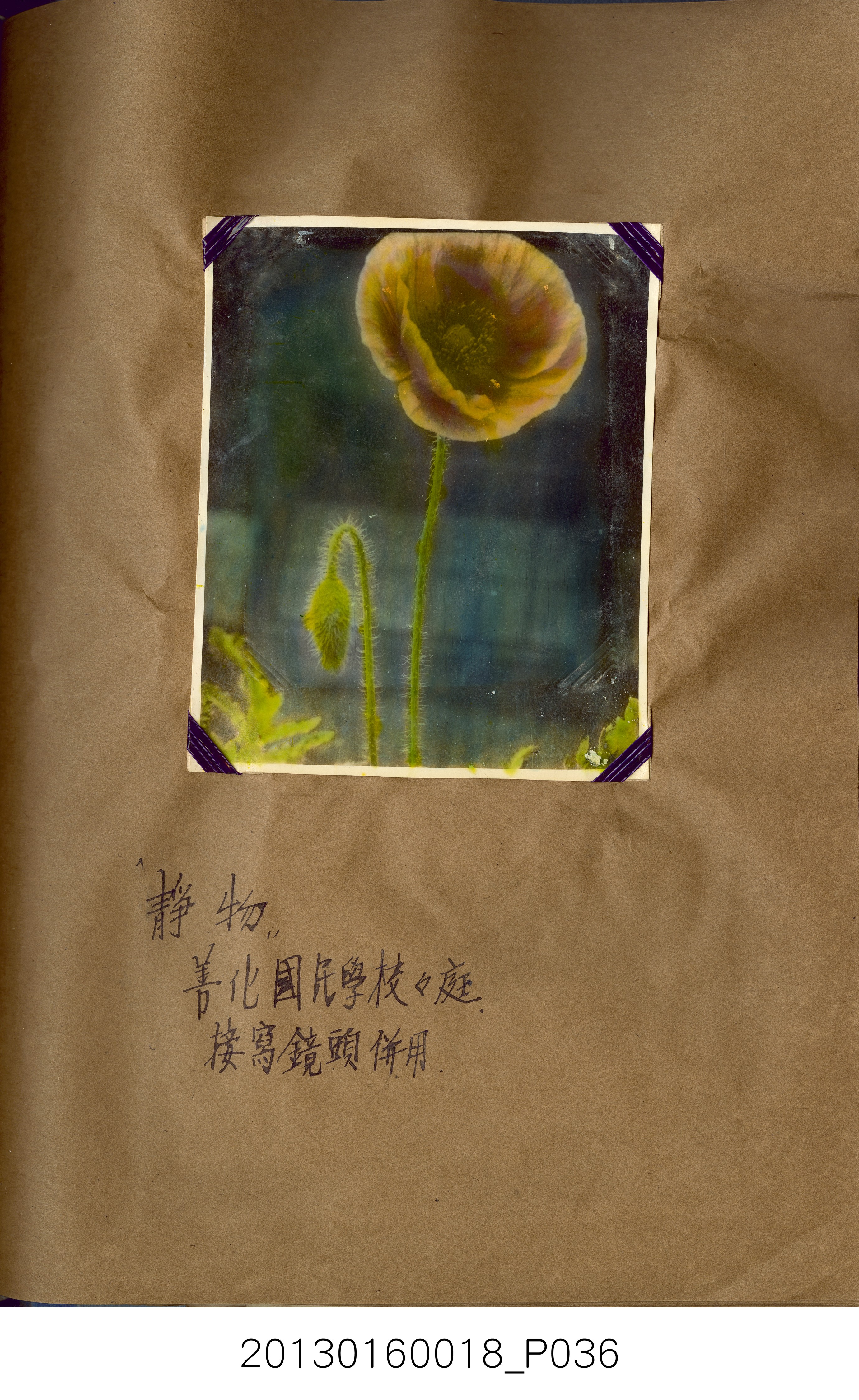 陳崧波攝影作品相簿-15(SRAPE BOOK) (共84張)