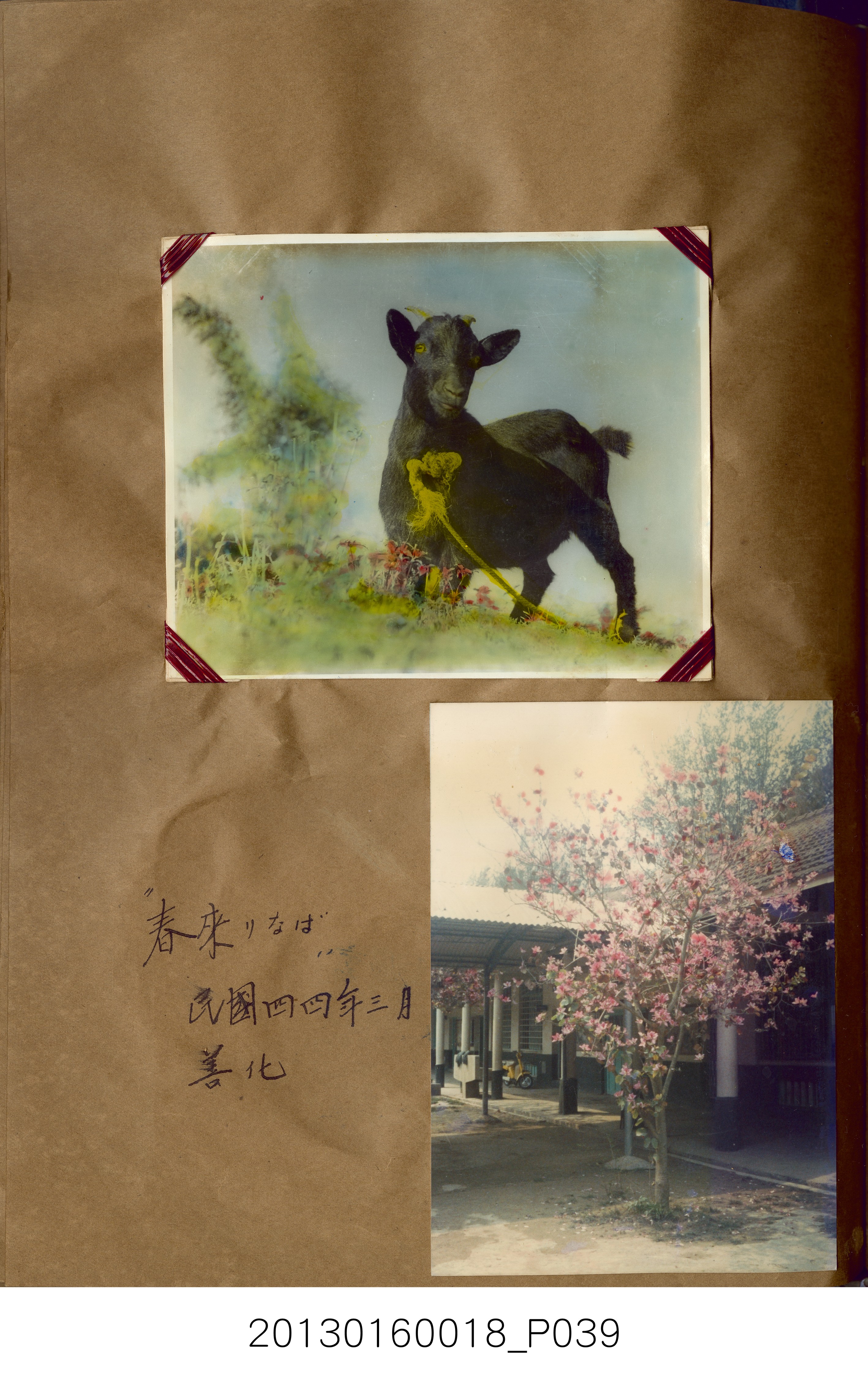 陳崧波攝影作品相簿-15(SRAPE BOOK) (共84張)