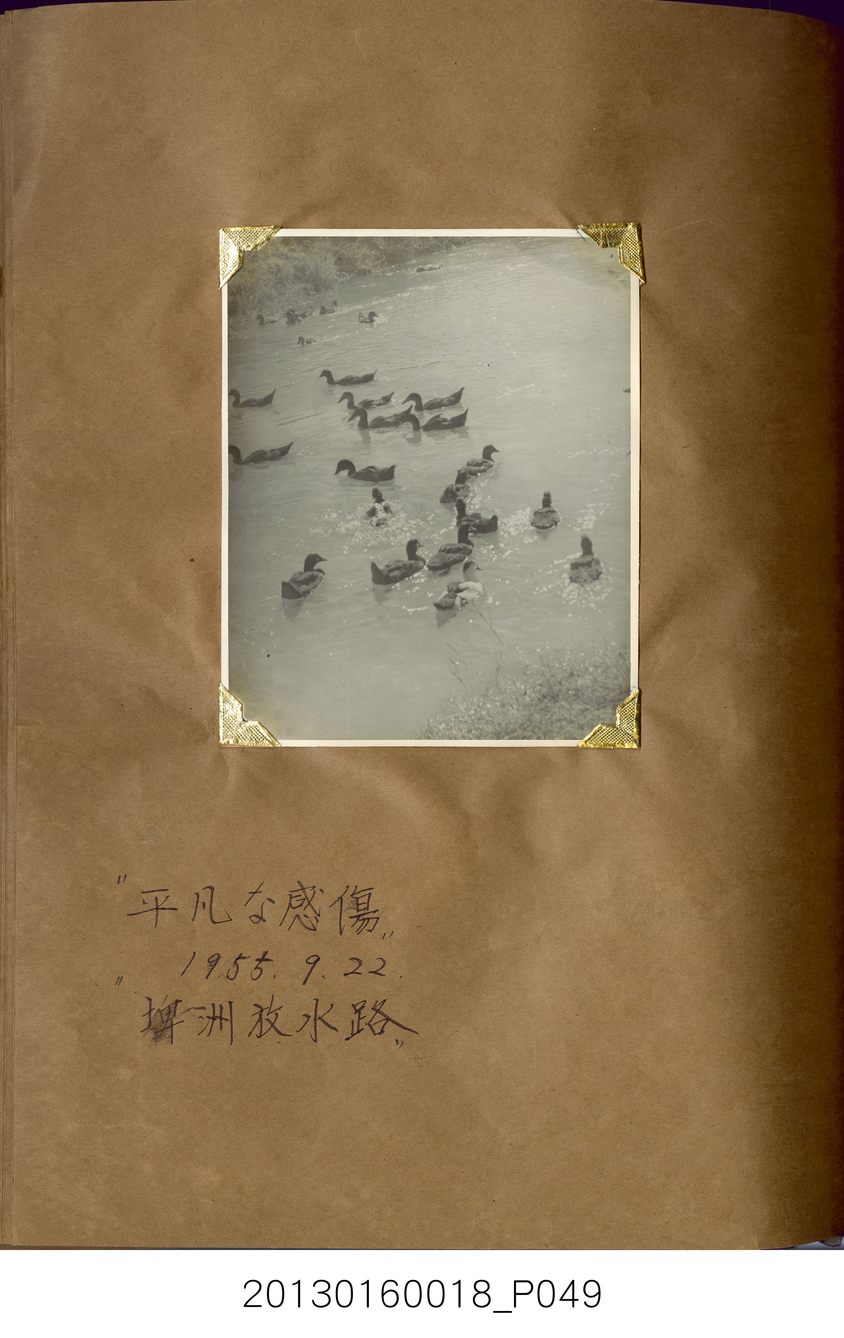 陳崧波攝影作品相簿-15(SRAPE BOOK) (共84張)