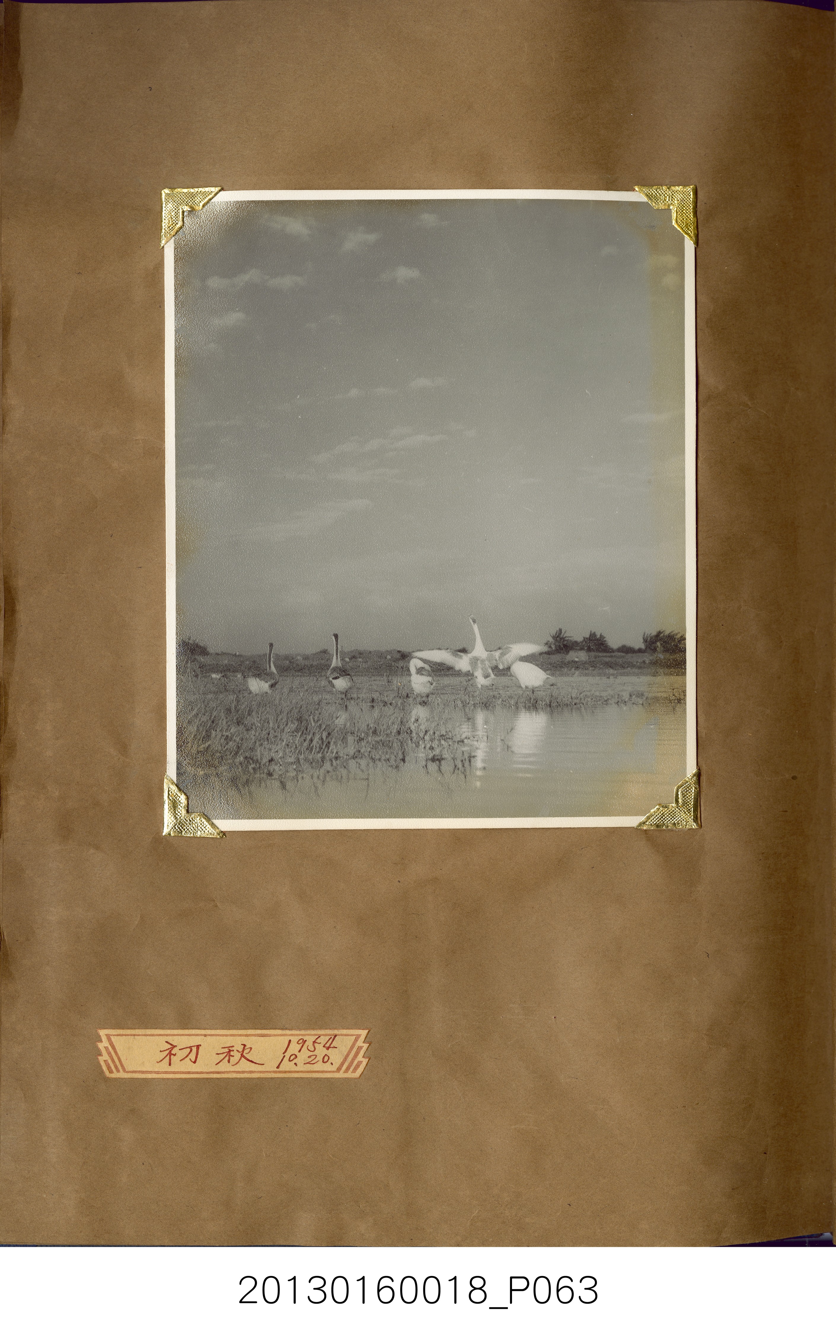 陳崧波攝影作品相簿-15(SRAPE BOOK) (共84張)
