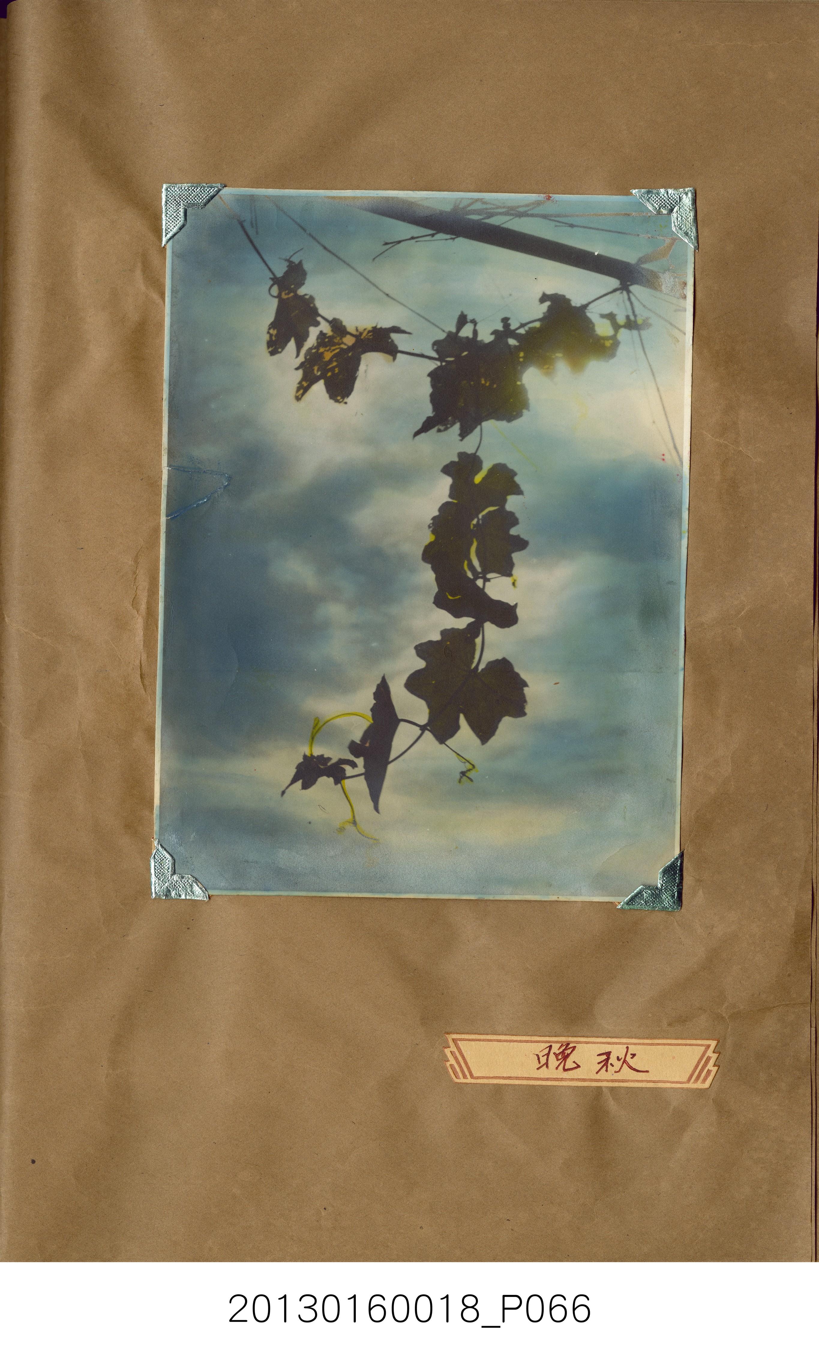 陳崧波攝影作品相簿-15(SRAPE BOOK) (共84張)