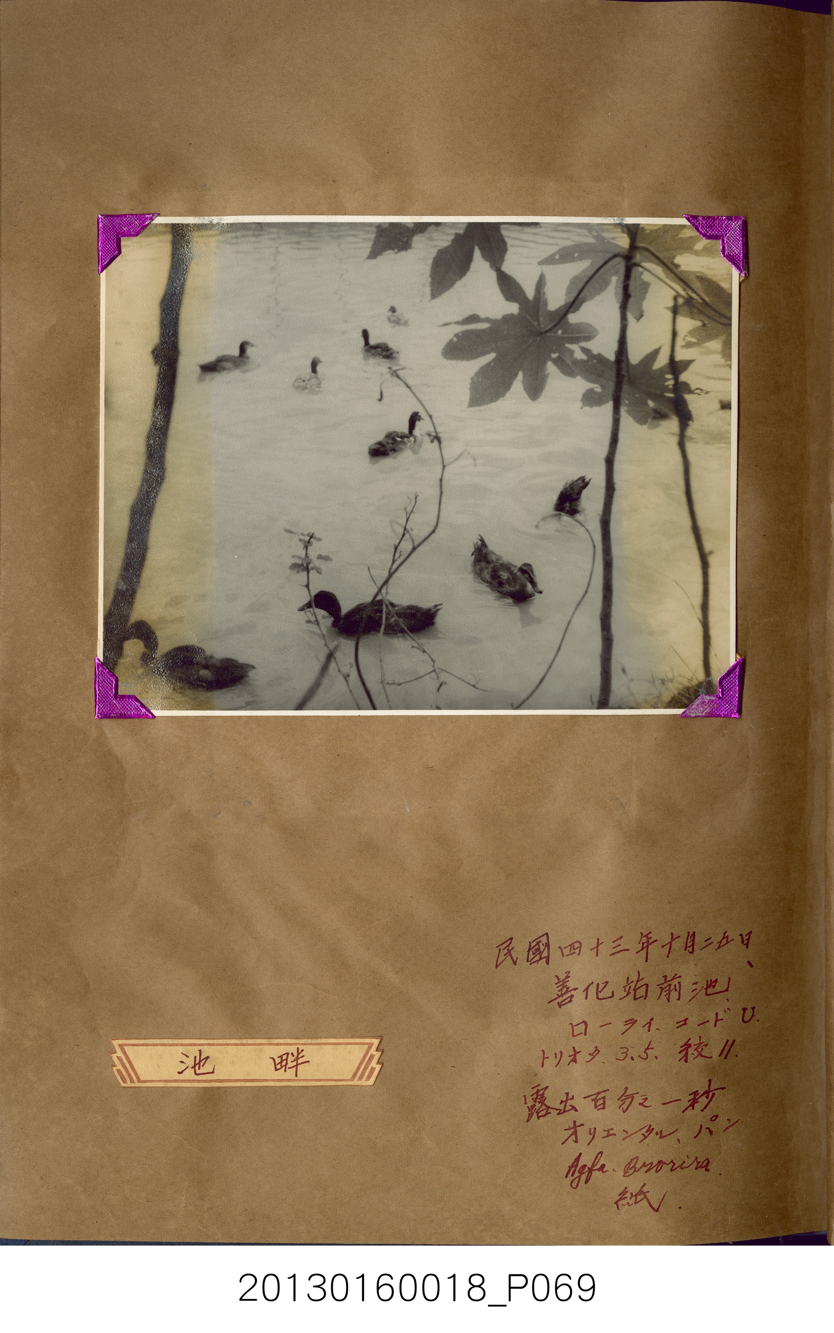 陳崧波攝影作品相簿-15(SRAPE BOOK) (共84張)