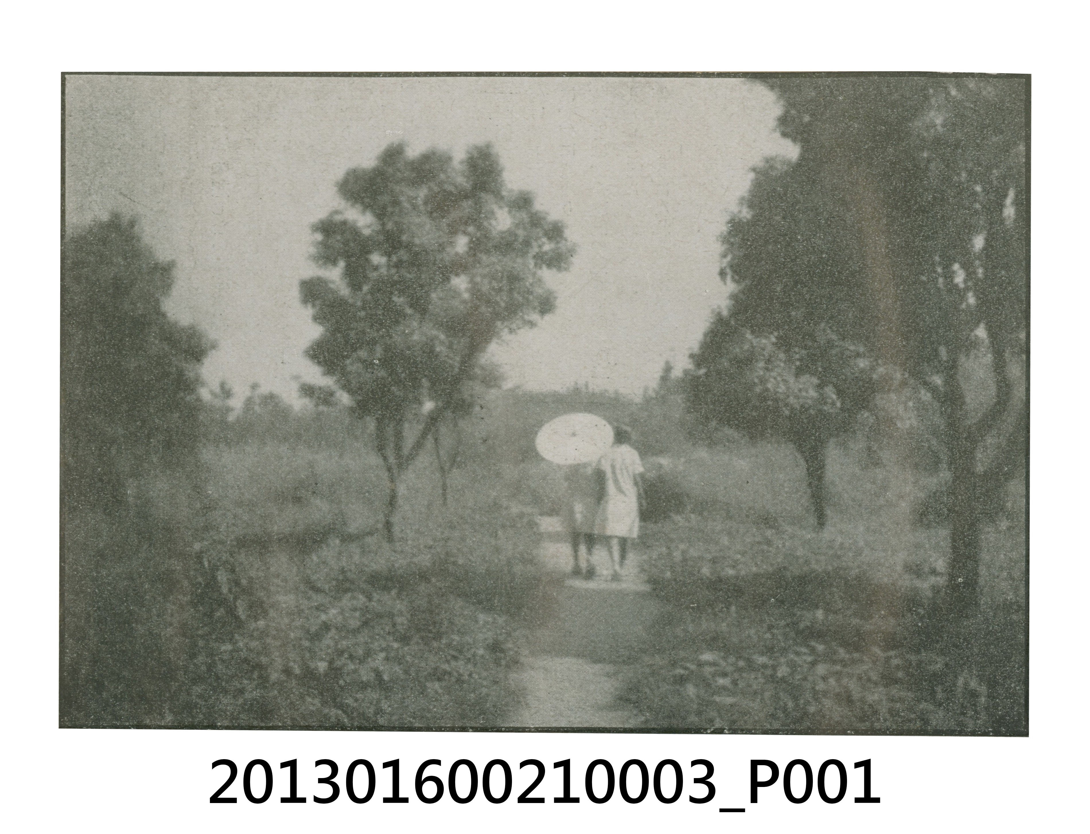 鄉間小路女子兩人背影剪報與玫瑰照2張 (共3張)