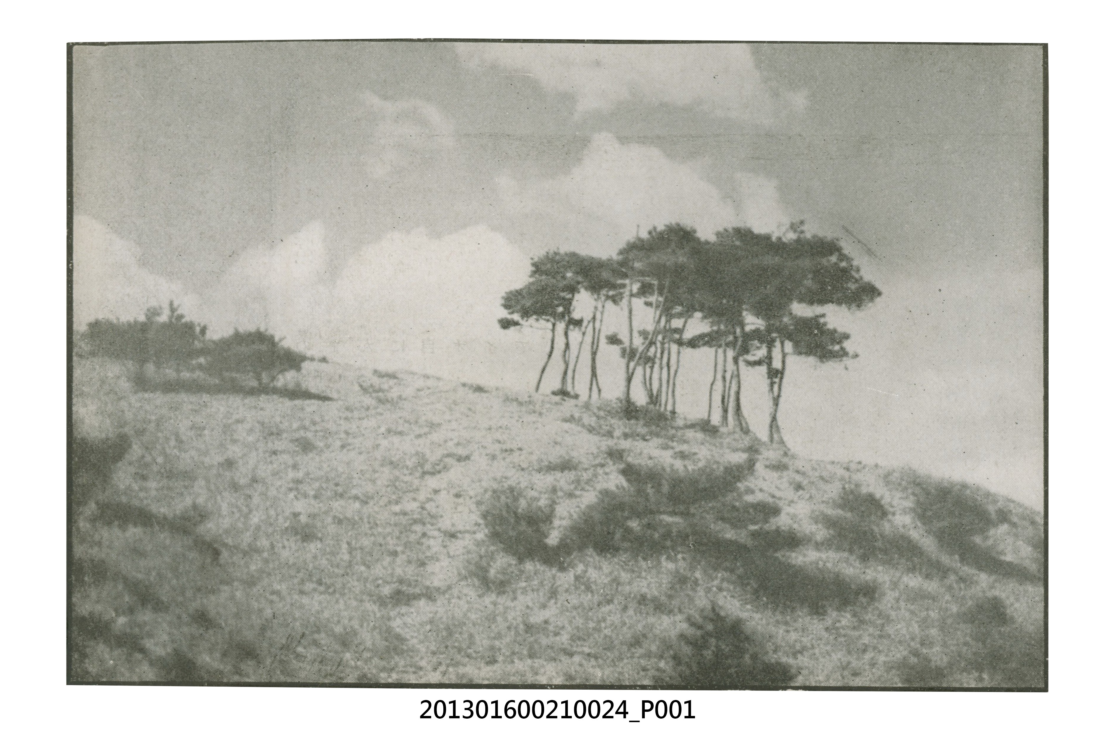 山坡風景剪報與橋邊建物風景三人剪影照 (共3張)
