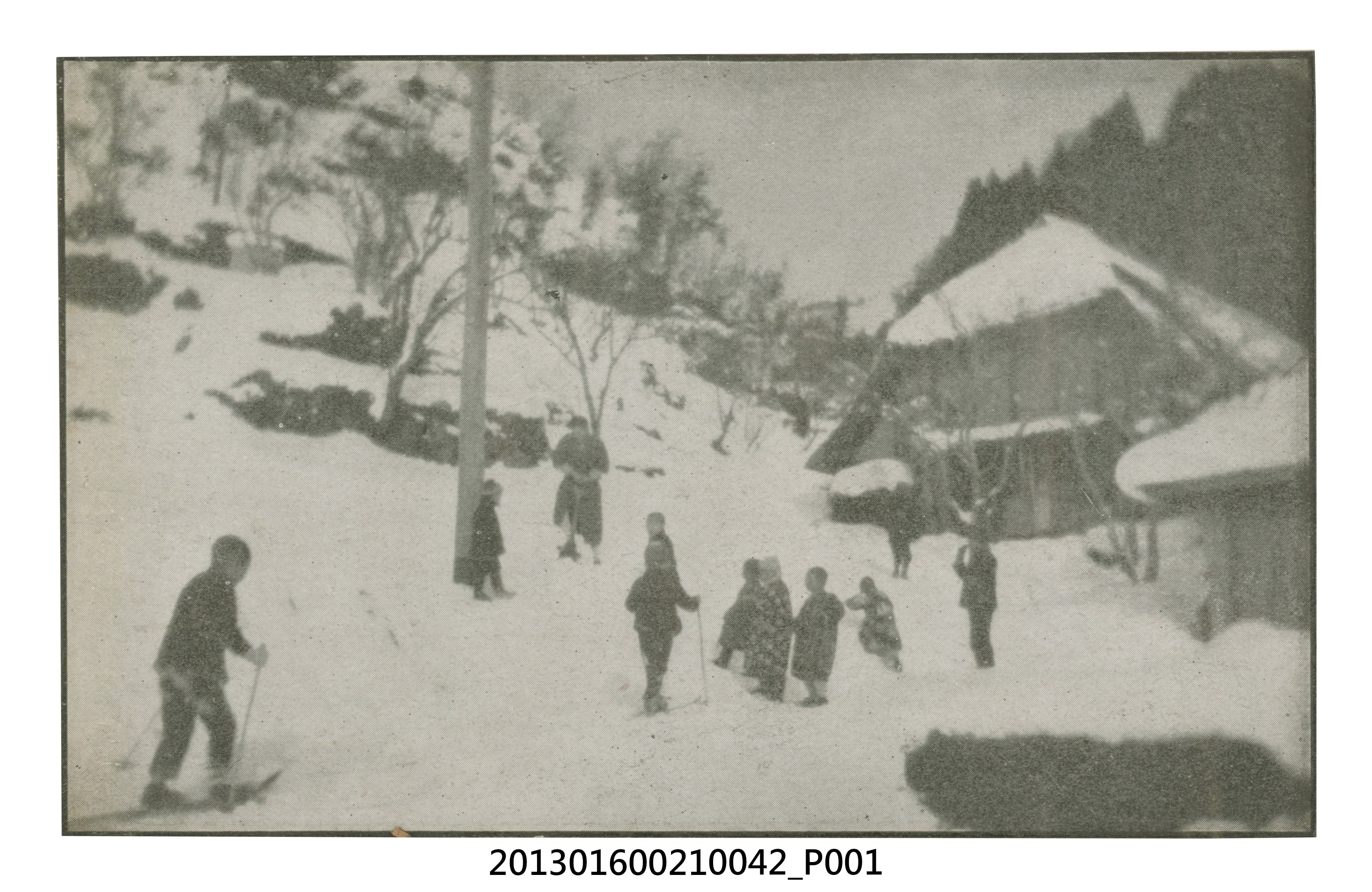 雪地景剪報、陳崧波妻子和百合花合照與中年男子大頭貼4張 (共5張)