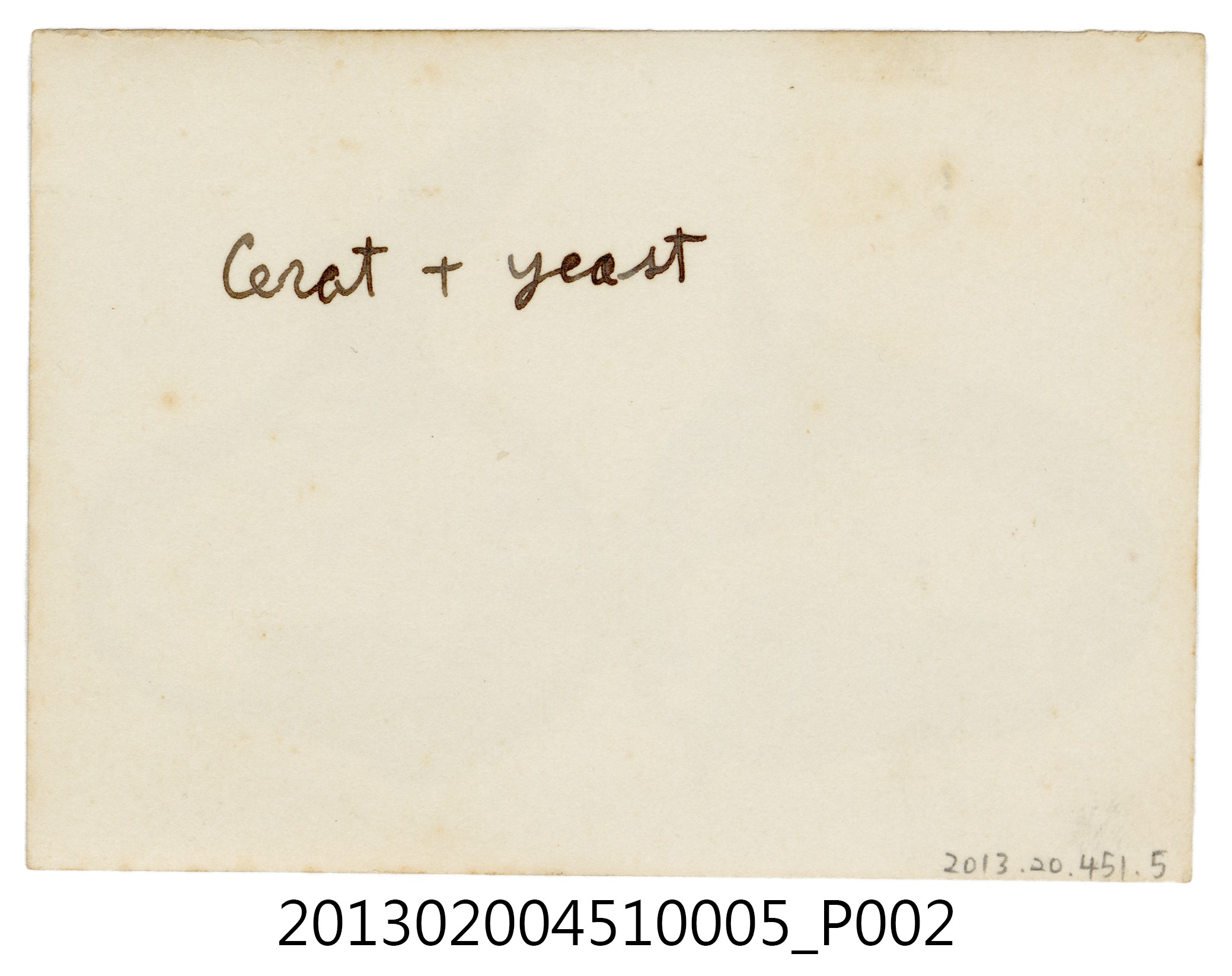 馬鈴薯切片樣本「Cerat+Yeast」照 (共4張)