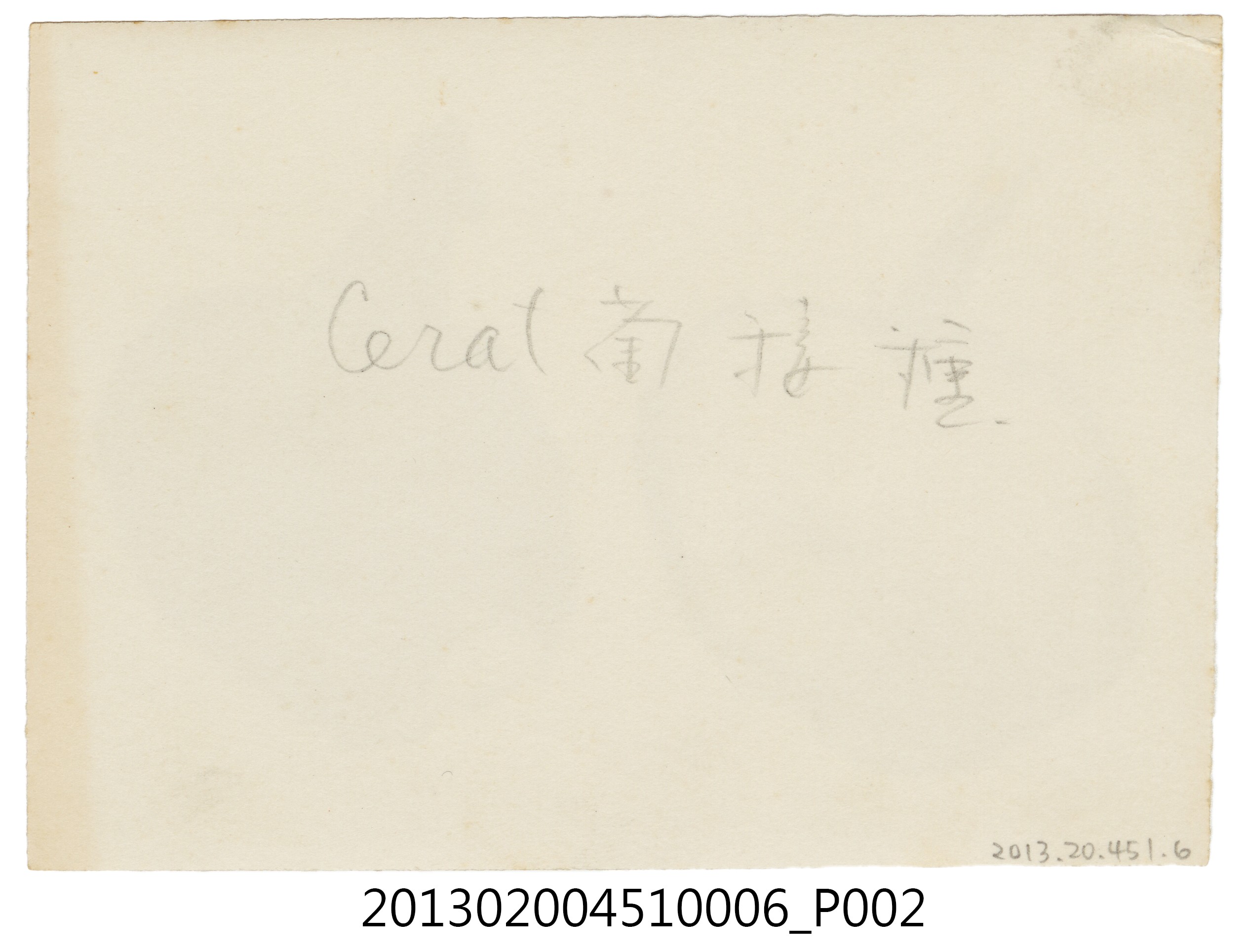馬鈴薯切片樣本「Cerat菌接種」照 (共4張)