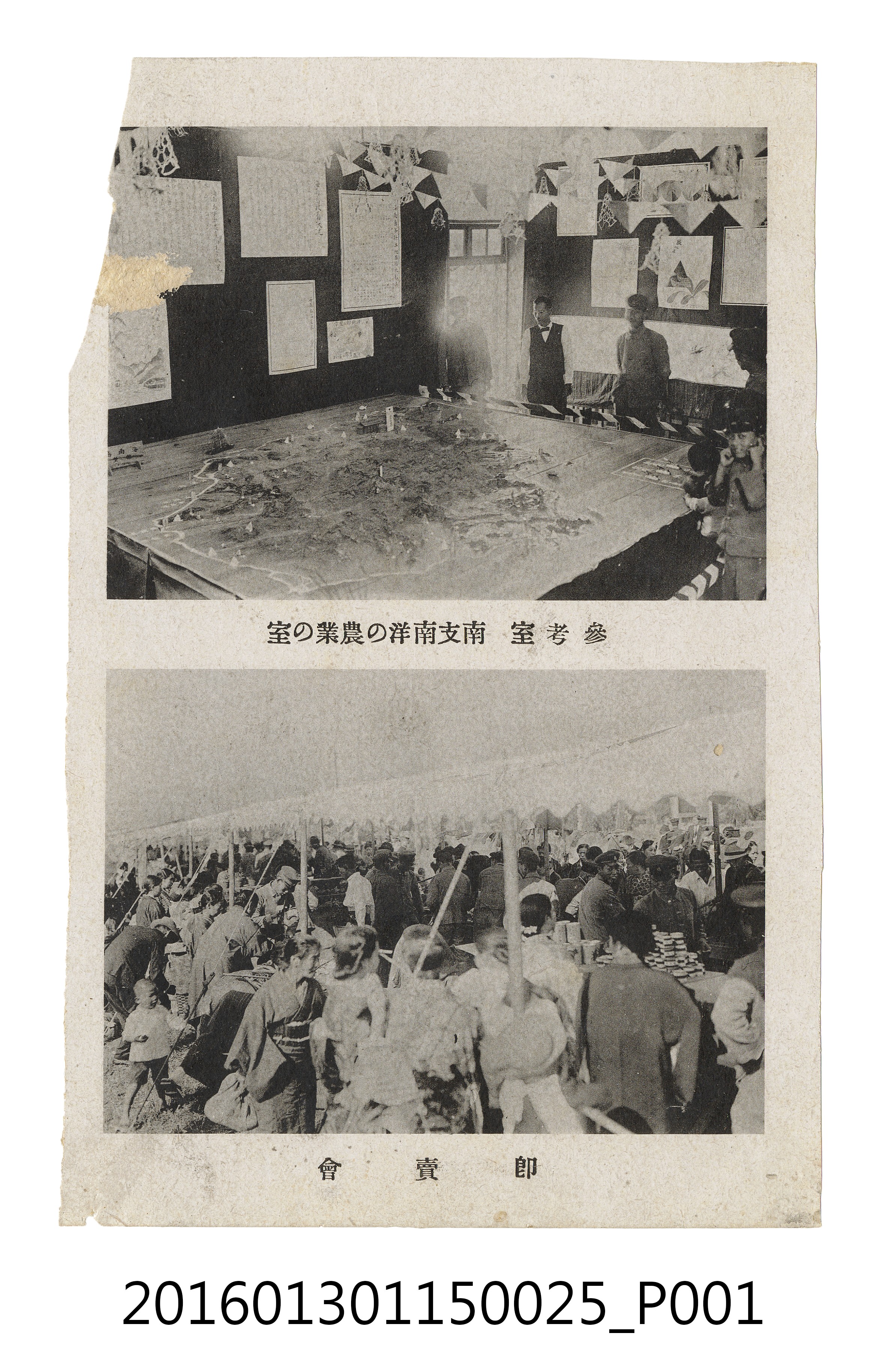 參考室-南洋農業室、即賣會照 (共3張)