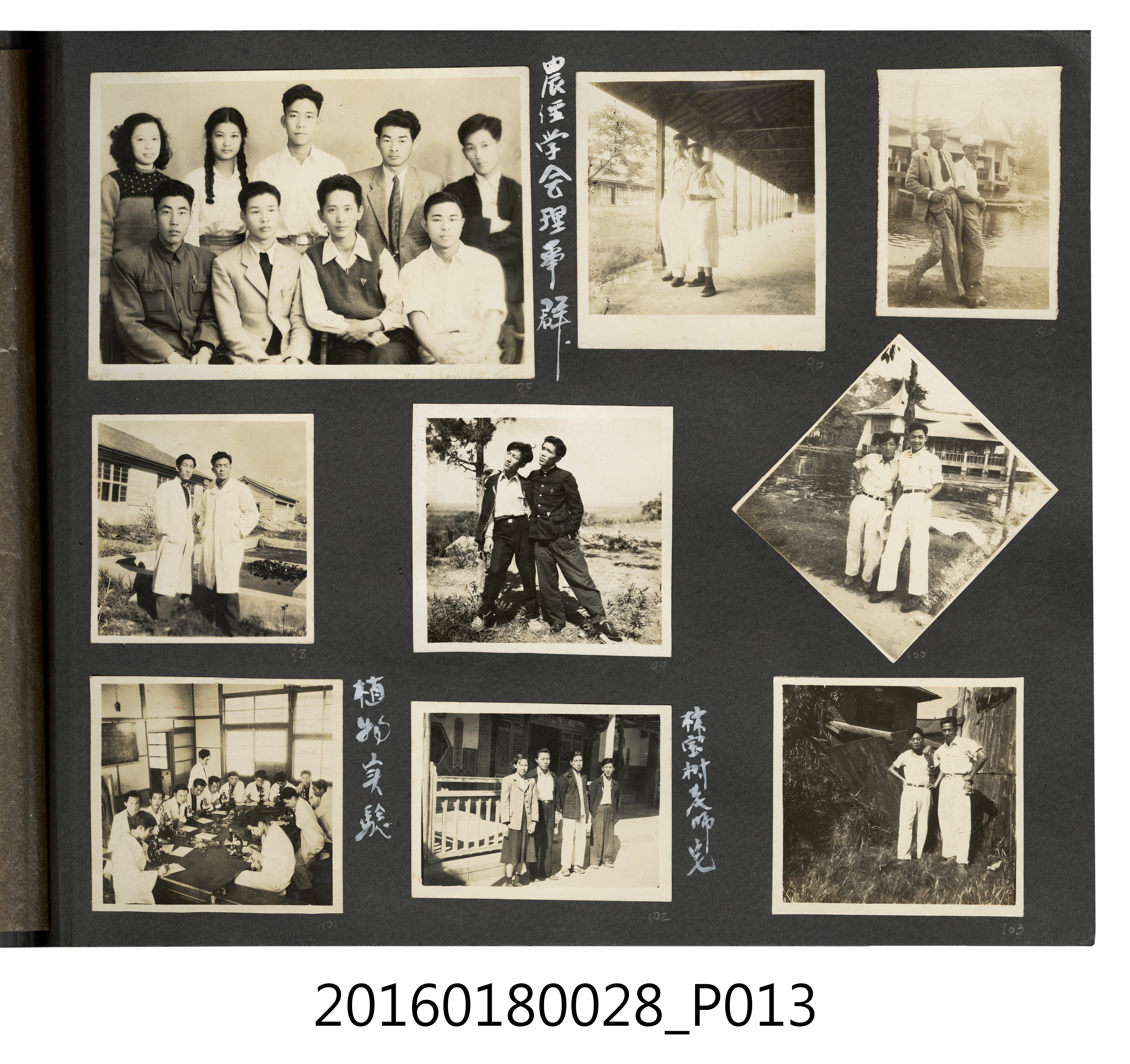 陳重松相簿 (共40張)