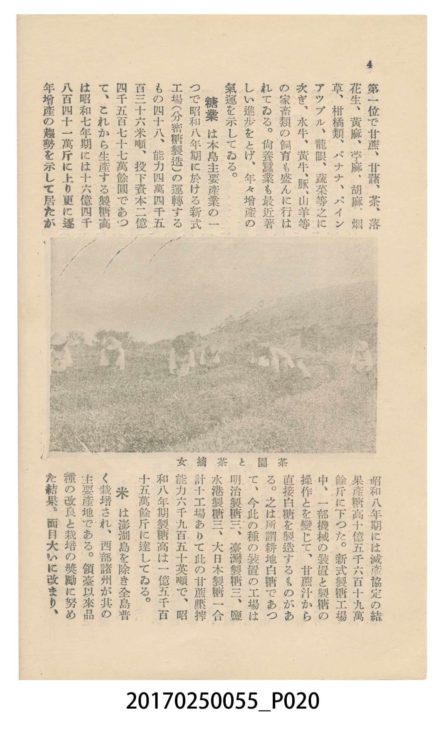 東亞旅行案內社發行《臺灣旅行刊》 (共121張)