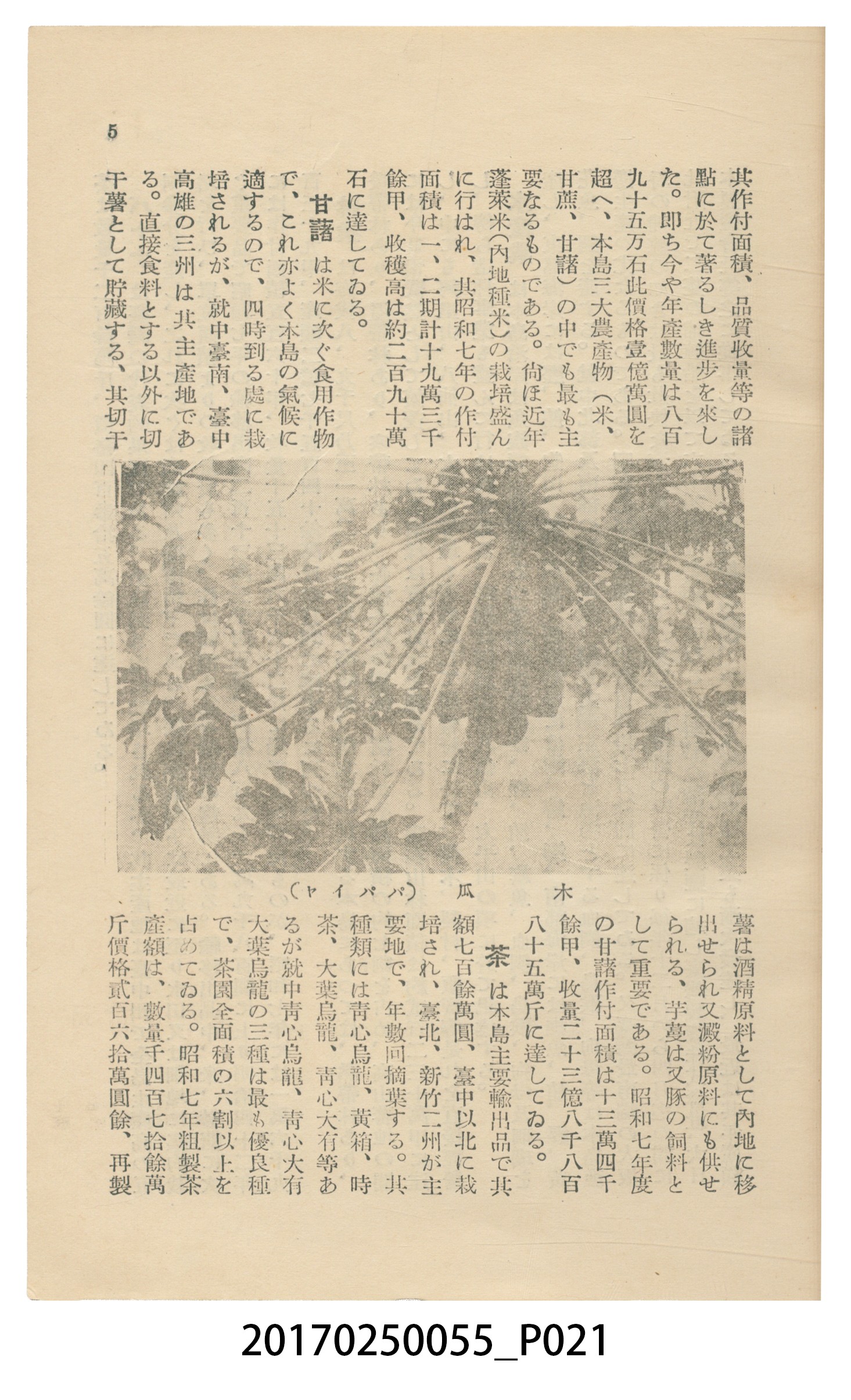 東亞旅行案內社發行《臺灣旅行刊》 (共121張)