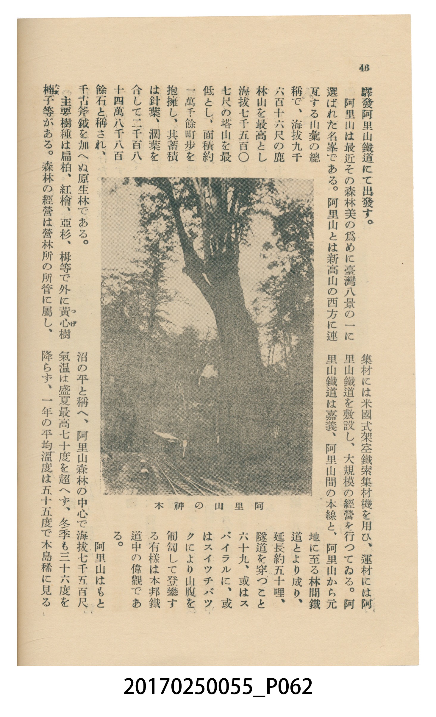 東亞旅行案內社發行《臺灣旅行刊》 (共121張)