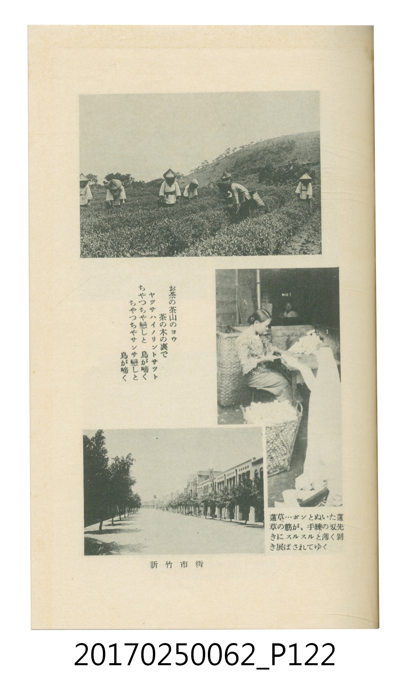 日本旅行協會臺灣支部所發行《臺灣鐵道旅行介紹》 (共298張)